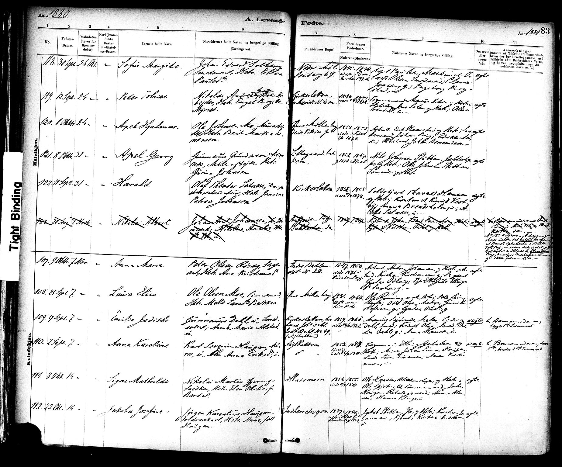 Ministerialprotokoller, klokkerbøker og fødselsregistre - Sør-Trøndelag, AV/SAT-A-1456/604/L0188: Parish register (official) no. 604A09, 1878-1892, p. 83