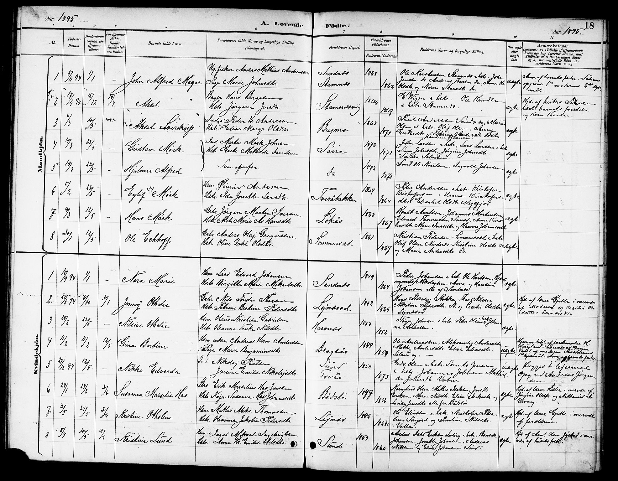 Ministerialprotokoller, klokkerbøker og fødselsregistre - Nordland, AV/SAT-A-1459/831/L0478: Parish register (copy) no. 831C05, 1892-1909, p. 18