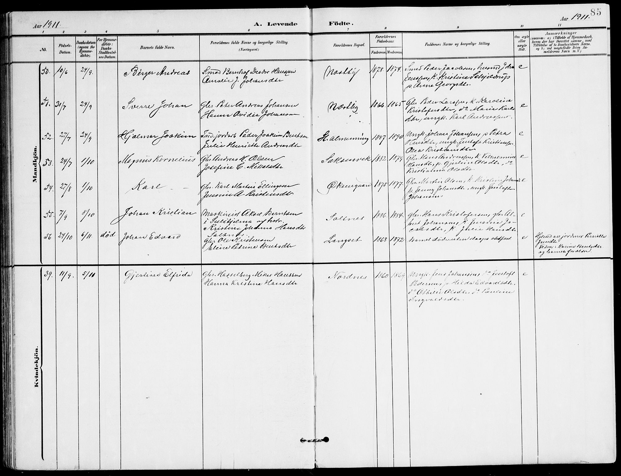 Ministerialprotokoller, klokkerbøker og fødselsregistre - Nordland, AV/SAT-A-1459/847/L0672: Parish register (official) no. 847A12, 1902-1919, p. 85