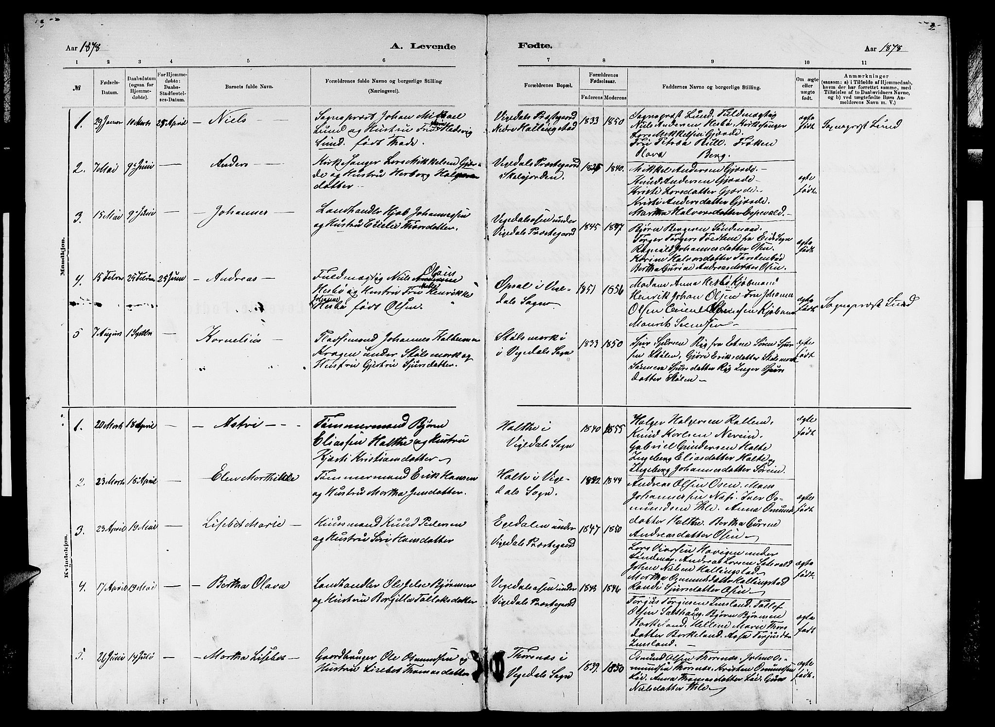 Vikedal sokneprestkontor, SAST/A-101840/01/V: Parish register (copy) no. B 5, 1878-1888, p. 2