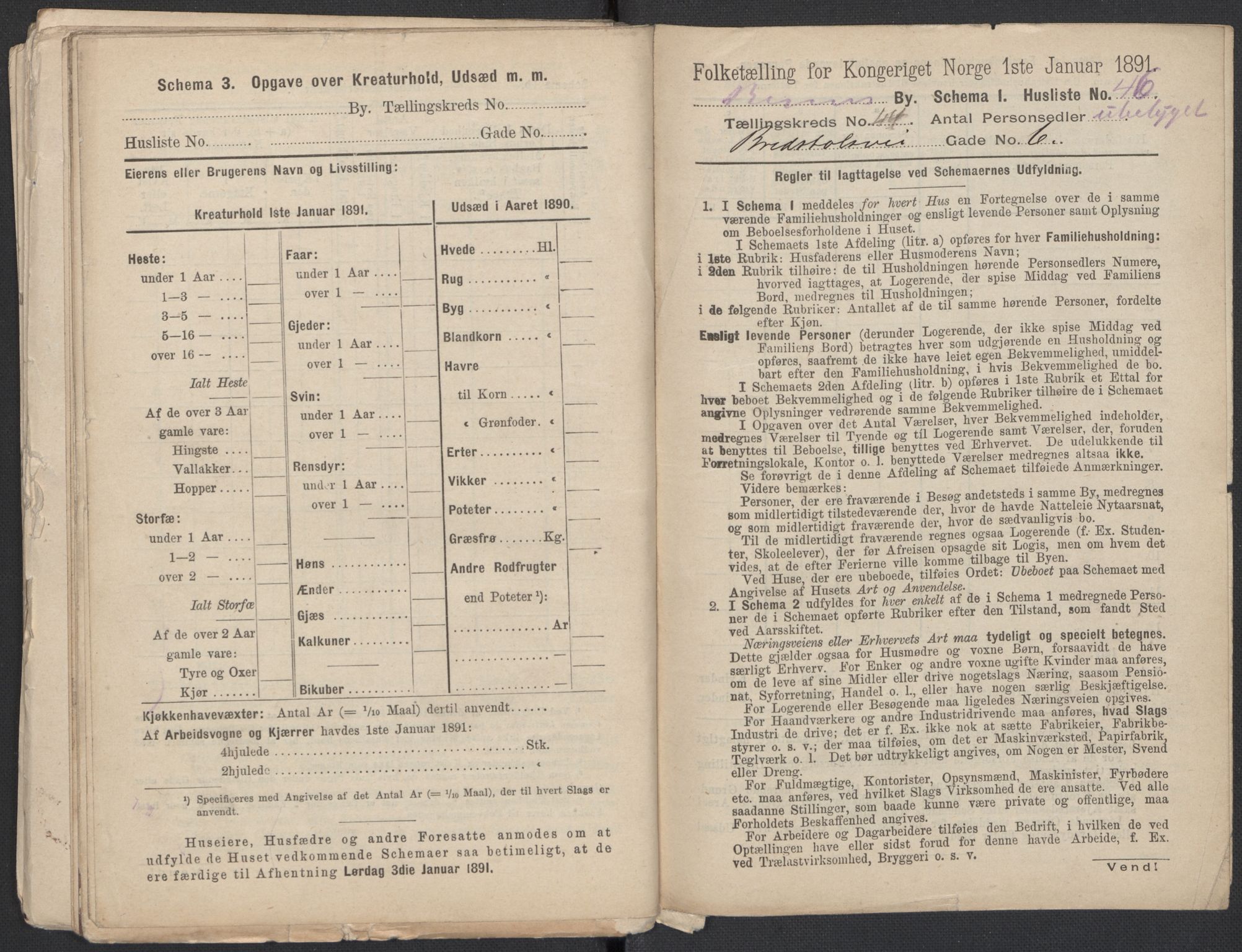 RA, 1891 Census for 1301 Bergen, 1891, p. 7423