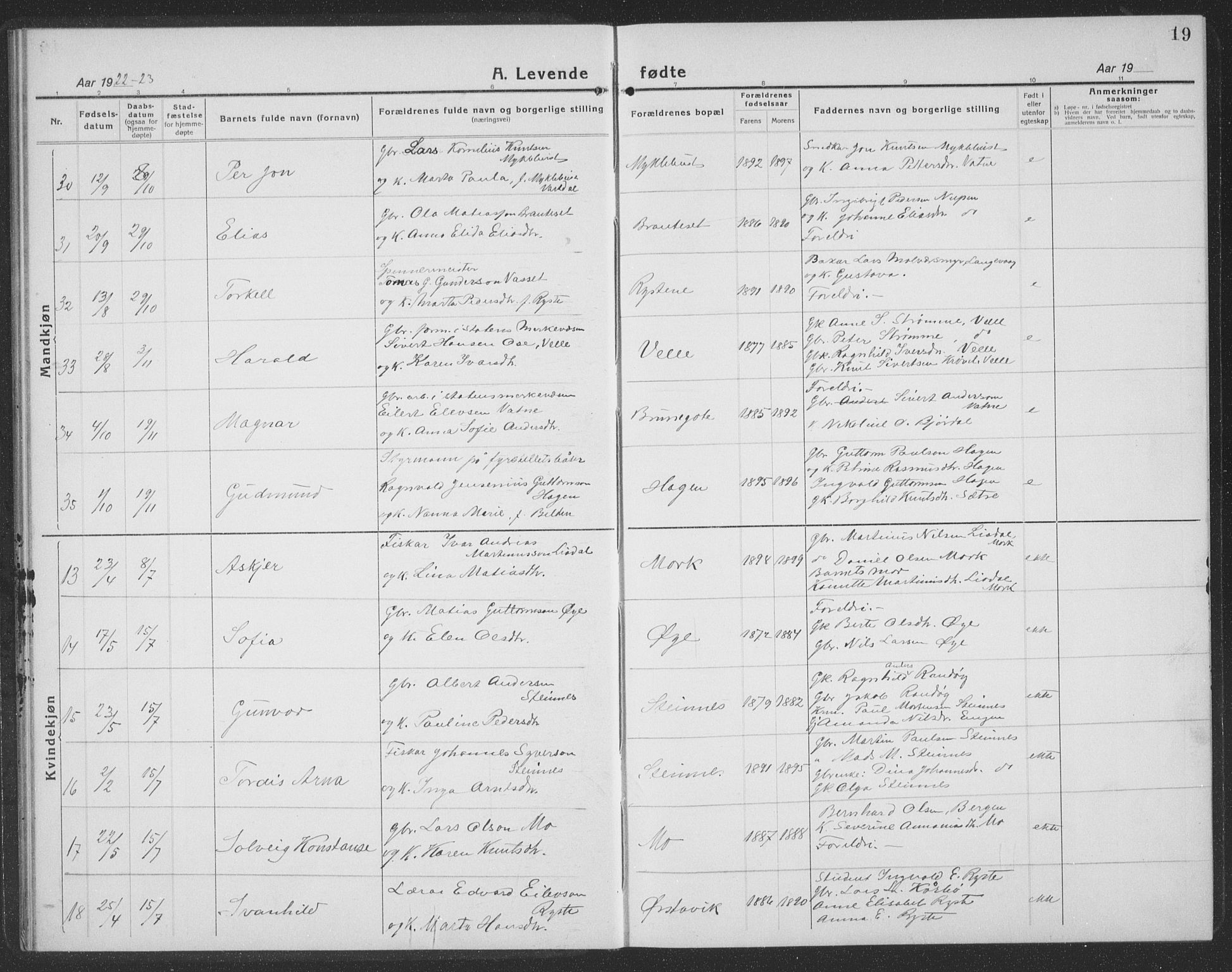 Ministerialprotokoller, klokkerbøker og fødselsregistre - Møre og Romsdal, AV/SAT-A-1454/513/L0191: Parish register (copy) no. 513C05, 1920-1941, p. 19