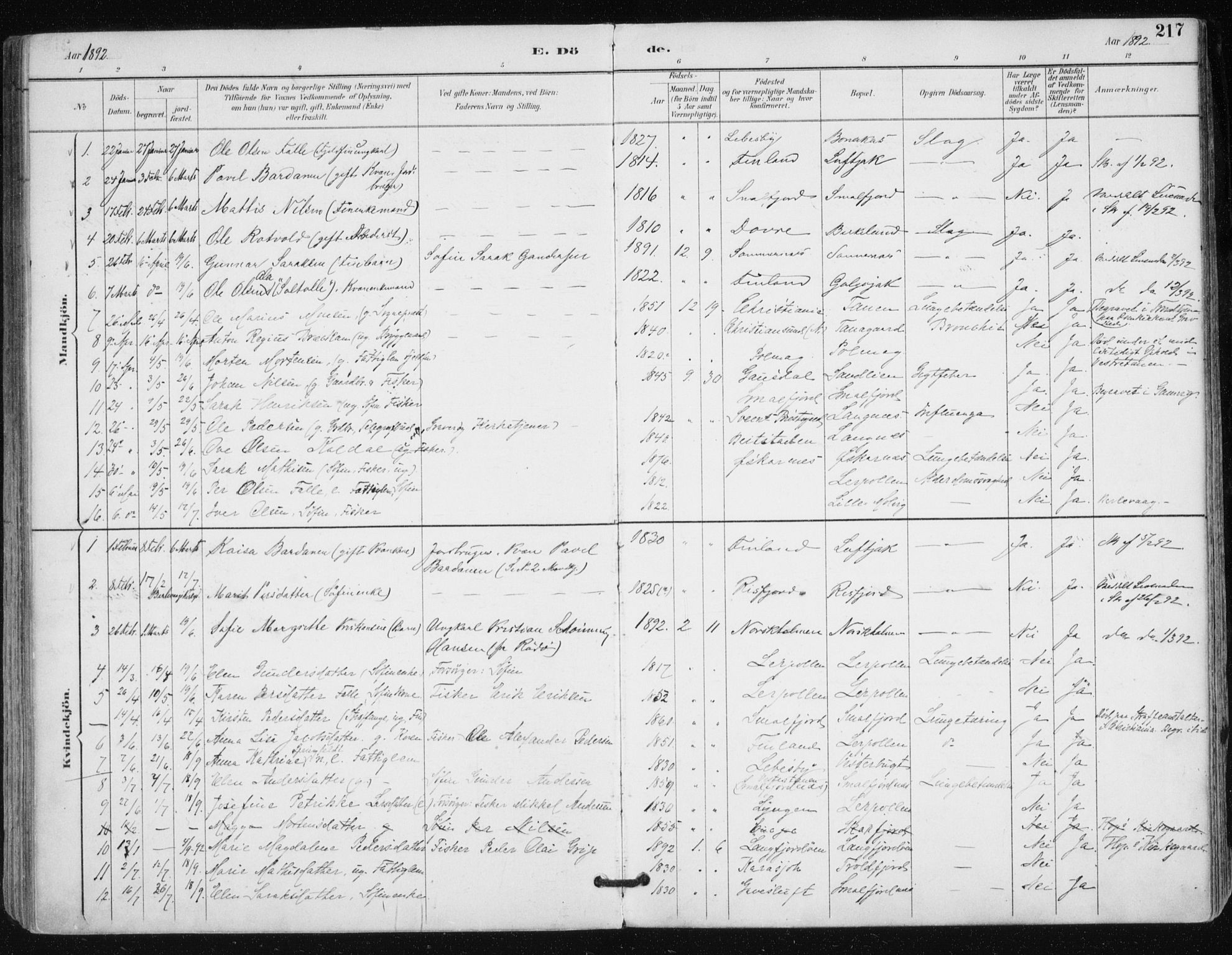 Tana sokneprestkontor, SATØ/S-1334/H/Ha/L0005kirke: Parish register (official) no. 5, 1891-1903, p. 217