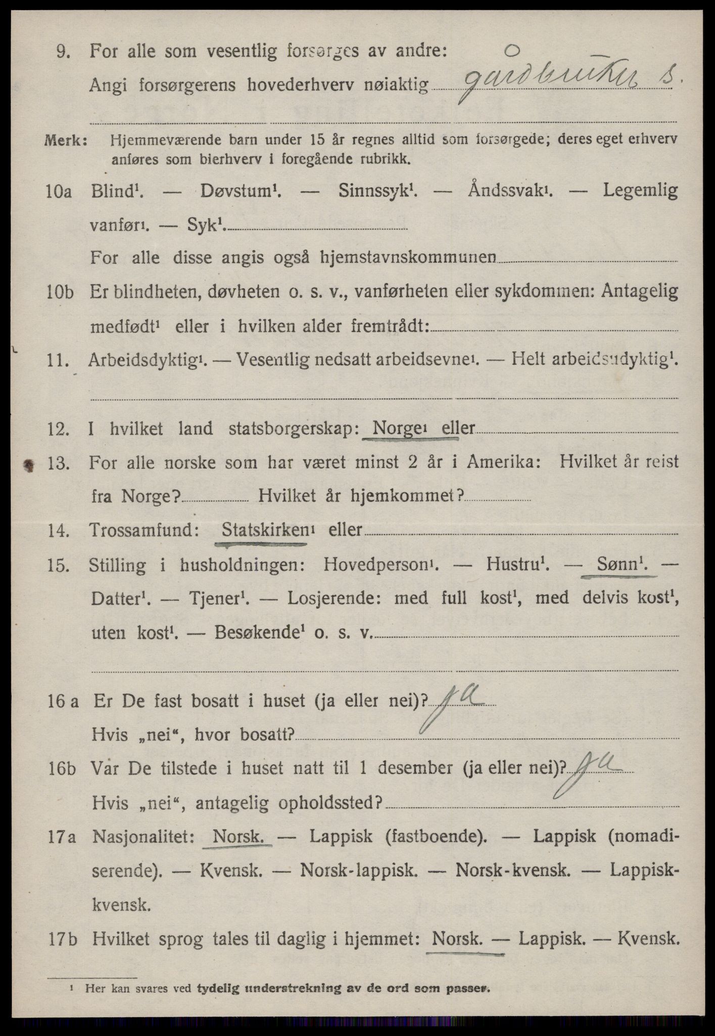 SAT, 1920 census for Rennebu, 1920, p. 5805