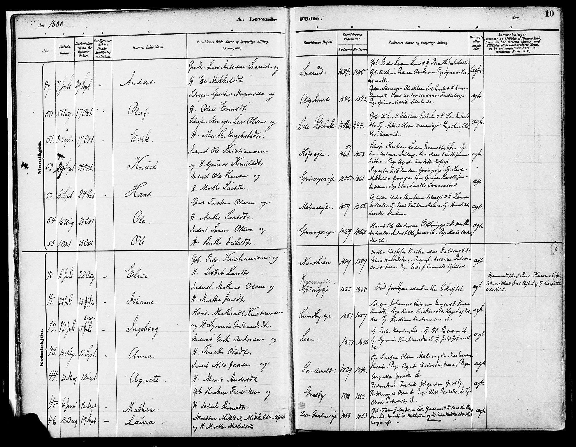 Vang prestekontor, Hedmark, AV/SAH-PREST-008/H/Ha/Haa/L0018A: Parish register (official) no. 18A, 1880-1906, p. 10