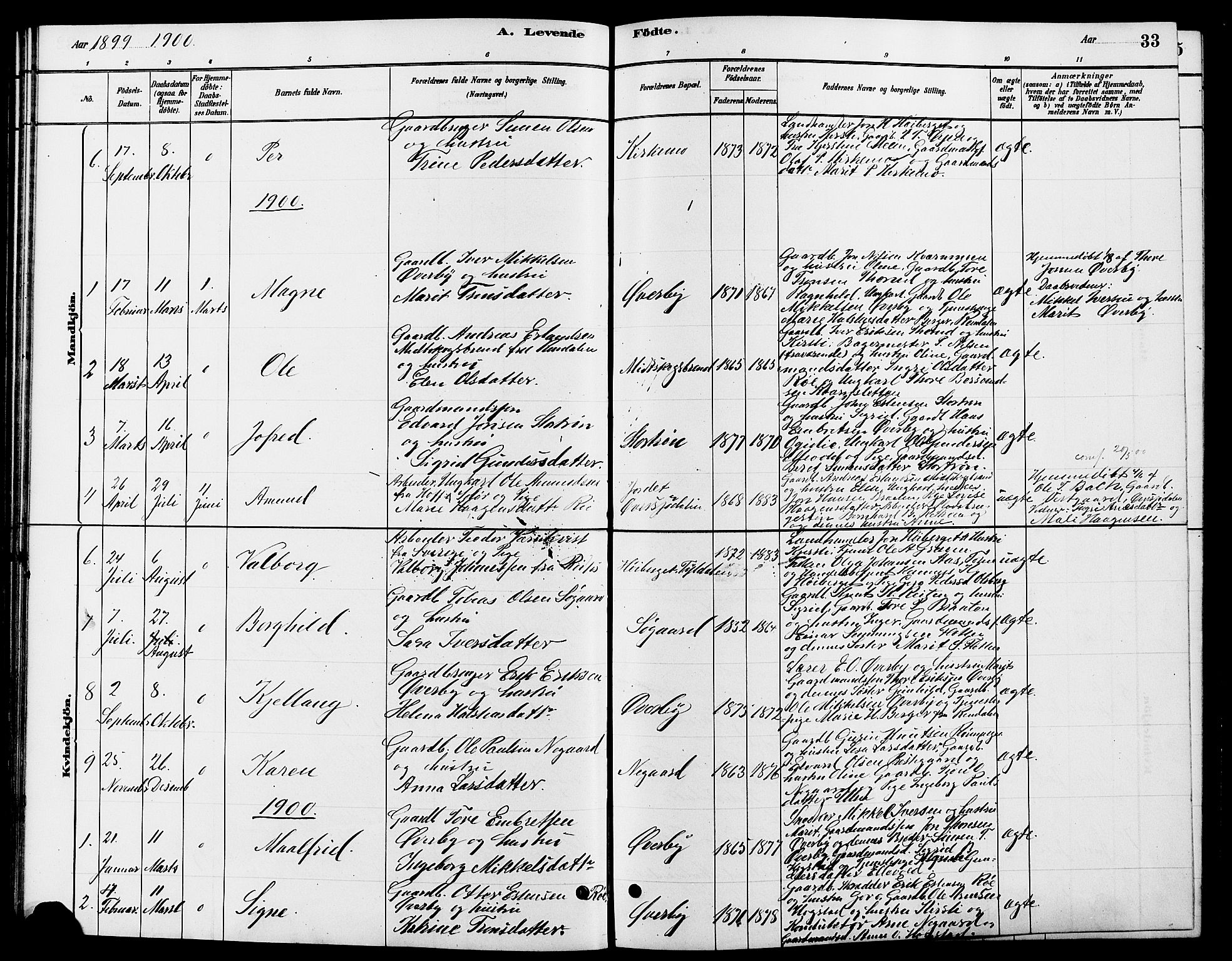Tynset prestekontor, SAH/PREST-058/H/Ha/Hab/L0007: Parish register (copy) no. 7, 1880-1901, p. 33