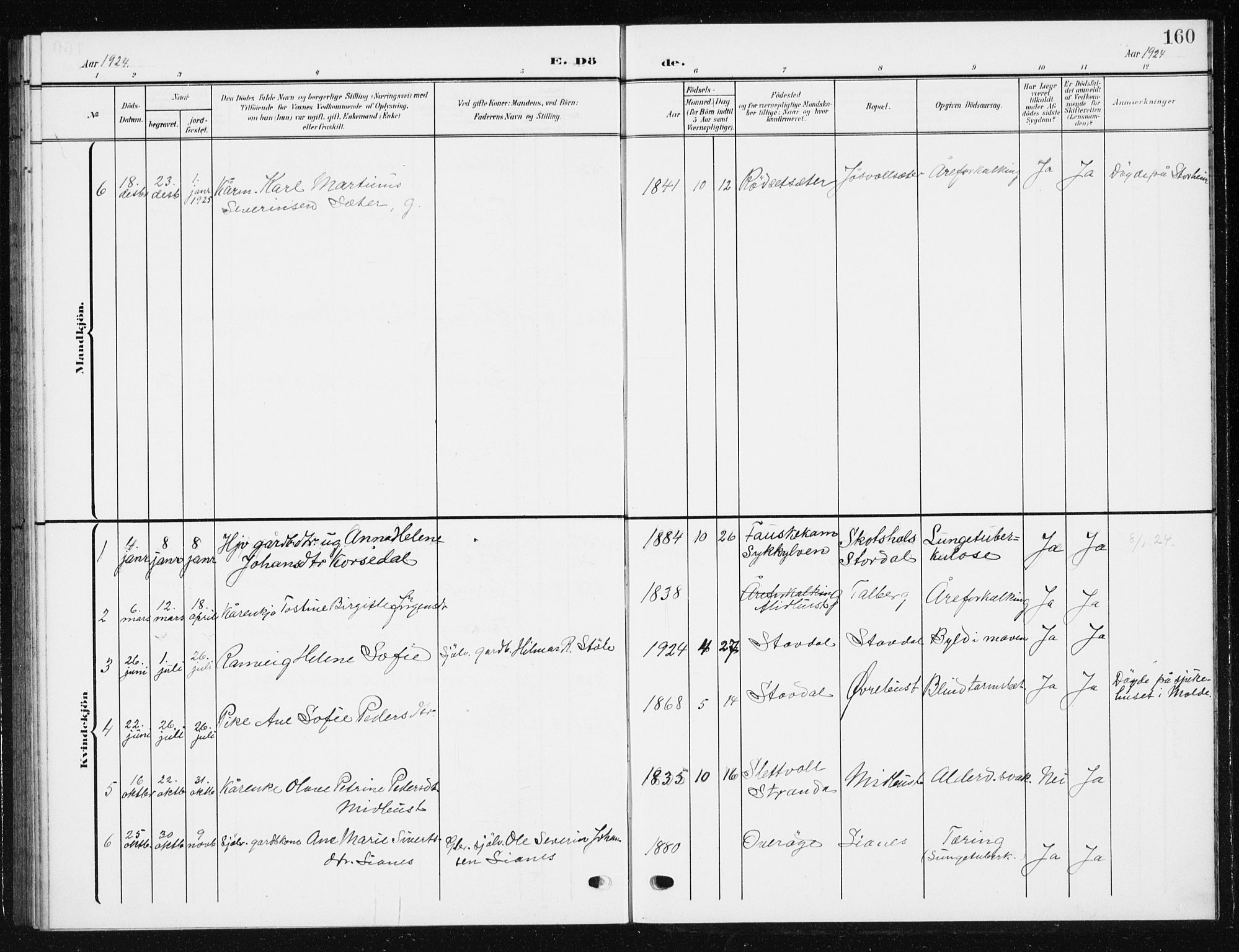 Ministerialprotokoller, klokkerbøker og fødselsregistre - Møre og Romsdal, AV/SAT-A-1454/521/L0303: Parish register (copy) no. 521C04, 1908-1943, p. 160