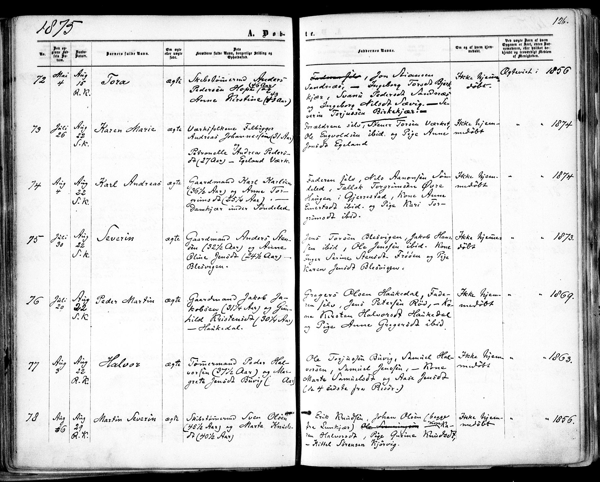 Søndeled sokneprestkontor, AV/SAK-1111-0038/F/Fa/L0003: Parish register (official) no. A 3, 1861-1879, p. 126