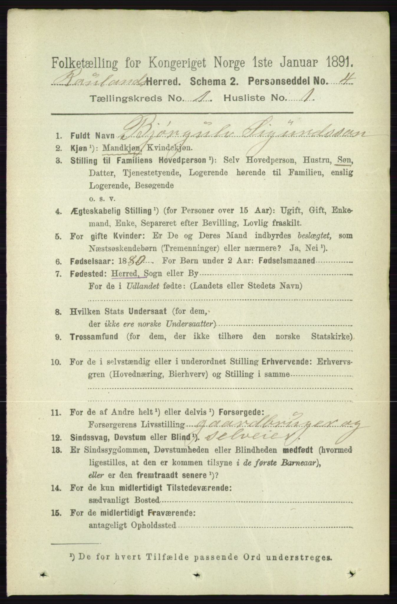 RA, 1891 census for 0835 Rauland, 1891, p. 41