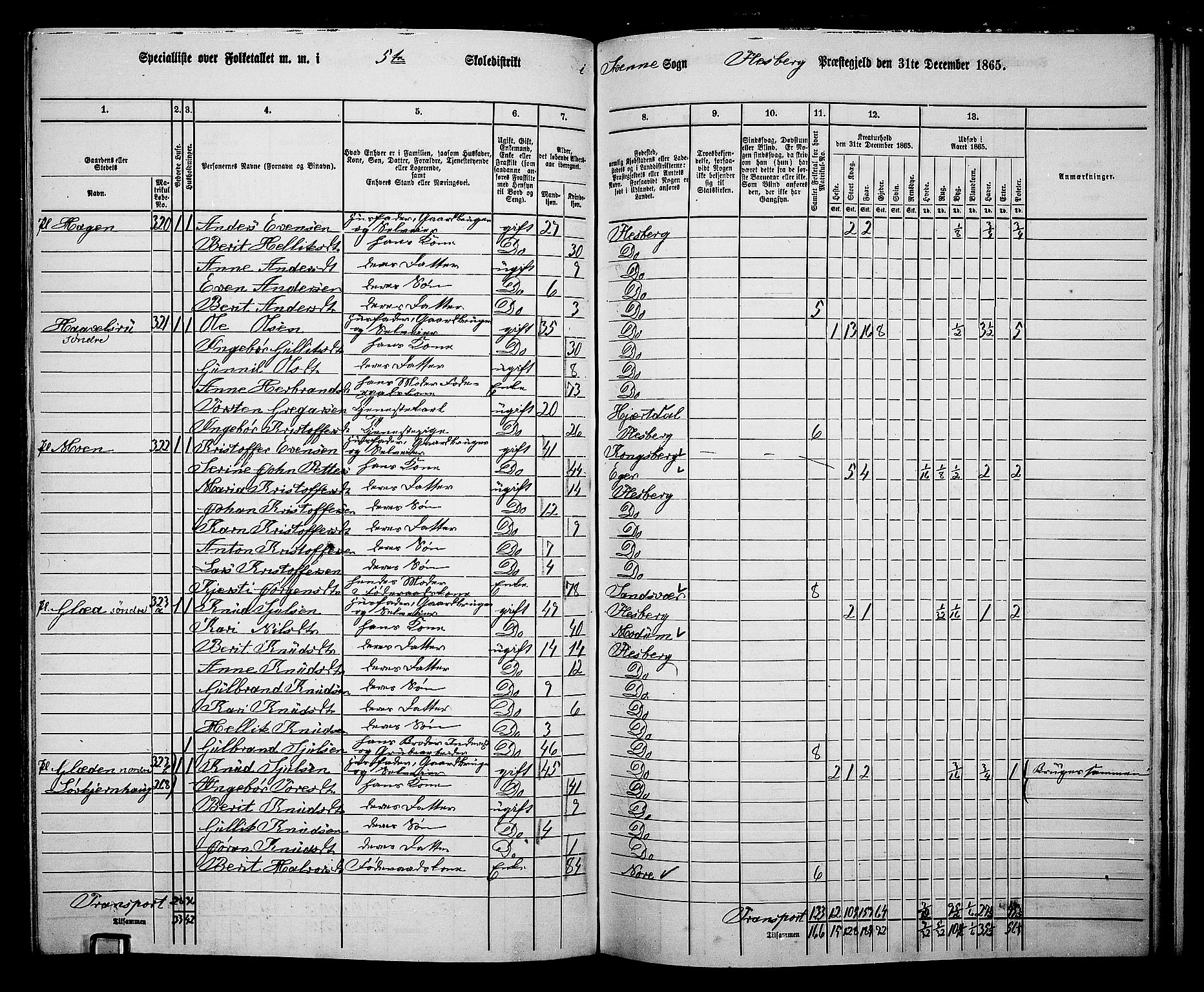 RA, 1865 census for Flesberg, 1865, p. 95