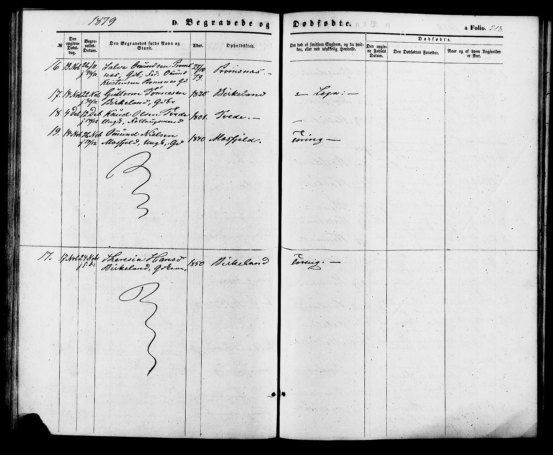 Birkenes sokneprestkontor, AV/SAK-1111-0004/F/Fa/L0004: Parish register (official) no. A 4, 1867-1886, p. 218