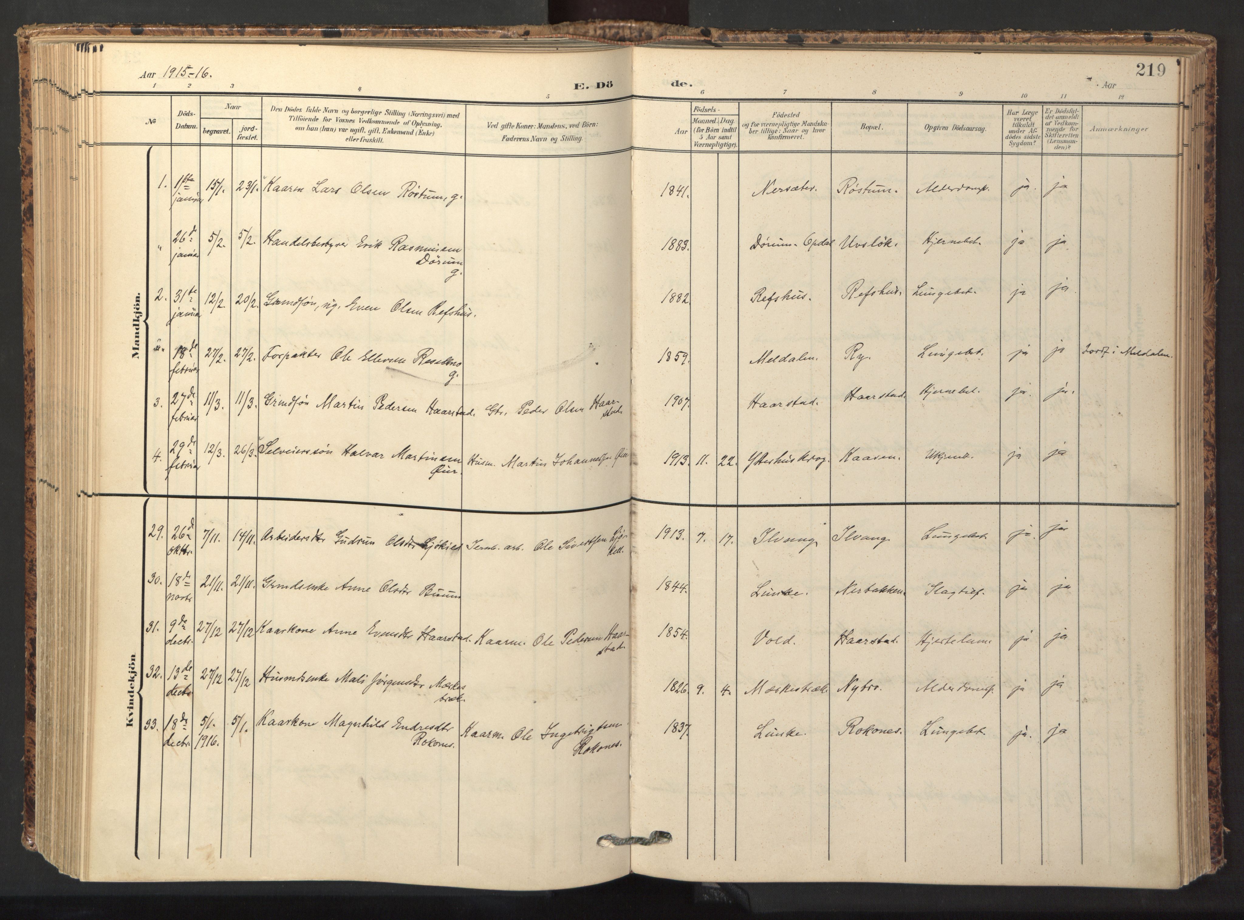 Ministerialprotokoller, klokkerbøker og fødselsregistre - Sør-Trøndelag, SAT/A-1456/674/L0873: Parish register (official) no. 674A05, 1908-1923, p. 219