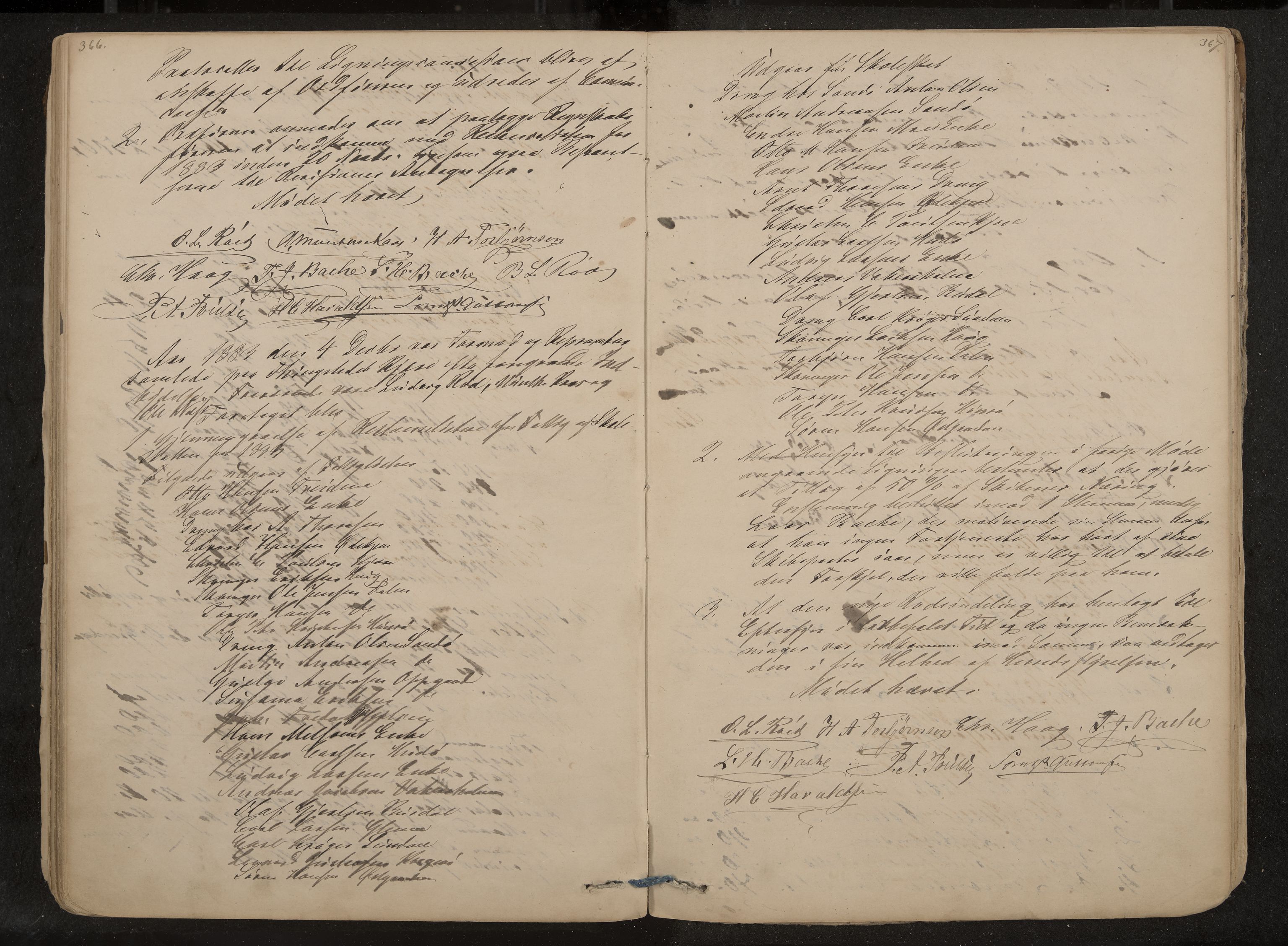 Tjøme formannskap og sentraladministrasjon, IKAK/0723021-1/A/L0002: Møtebok, 1865-1886, p. 366-367