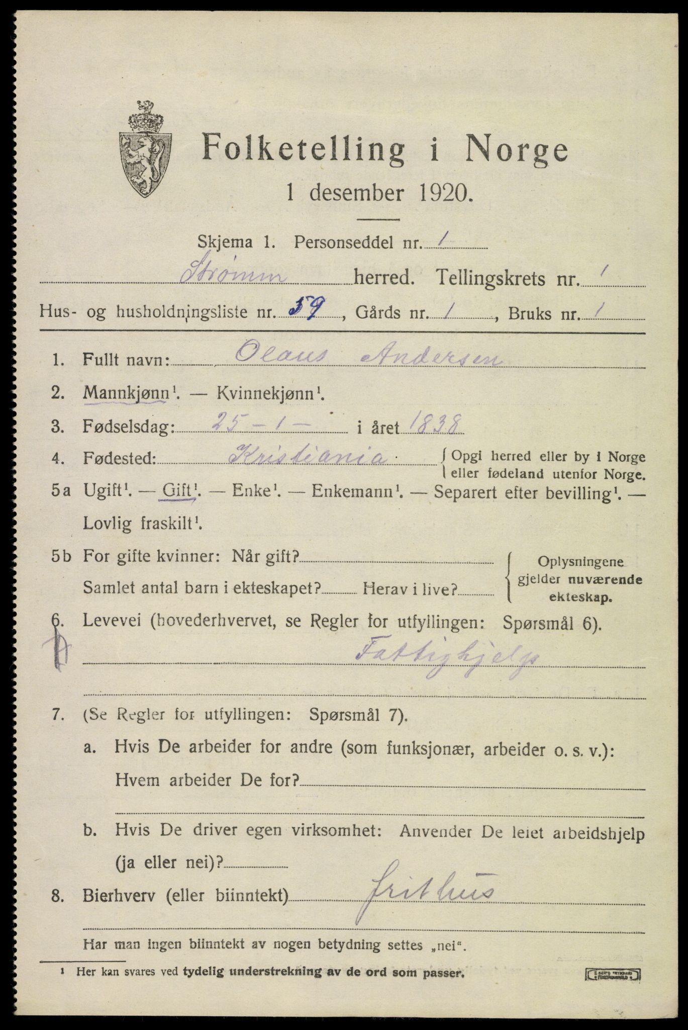 SAKO, 1920 census for Strømm, 1920, p. 1573