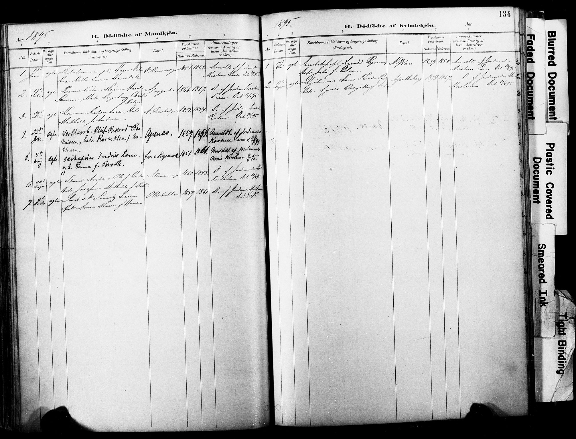 Horten kirkebøker, AV/SAKO-A-348/F/Fa/L0004: Parish register (official) no. 4, 1888-1895, p. 134