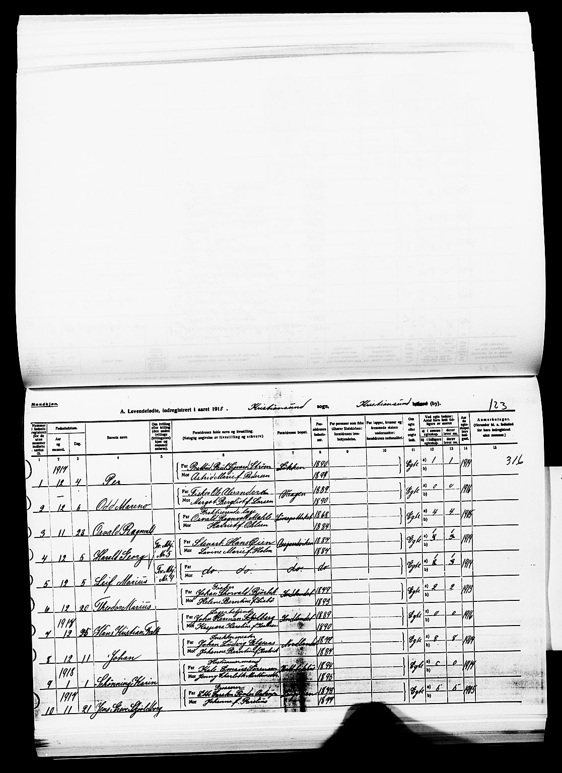 Ministerialprotokoller, klokkerbøker og fødselsregistre - Møre og Romsdal, AV/SAT-A-1454/572/L0861: Parish register (official) no. 572D05, 1913-1920