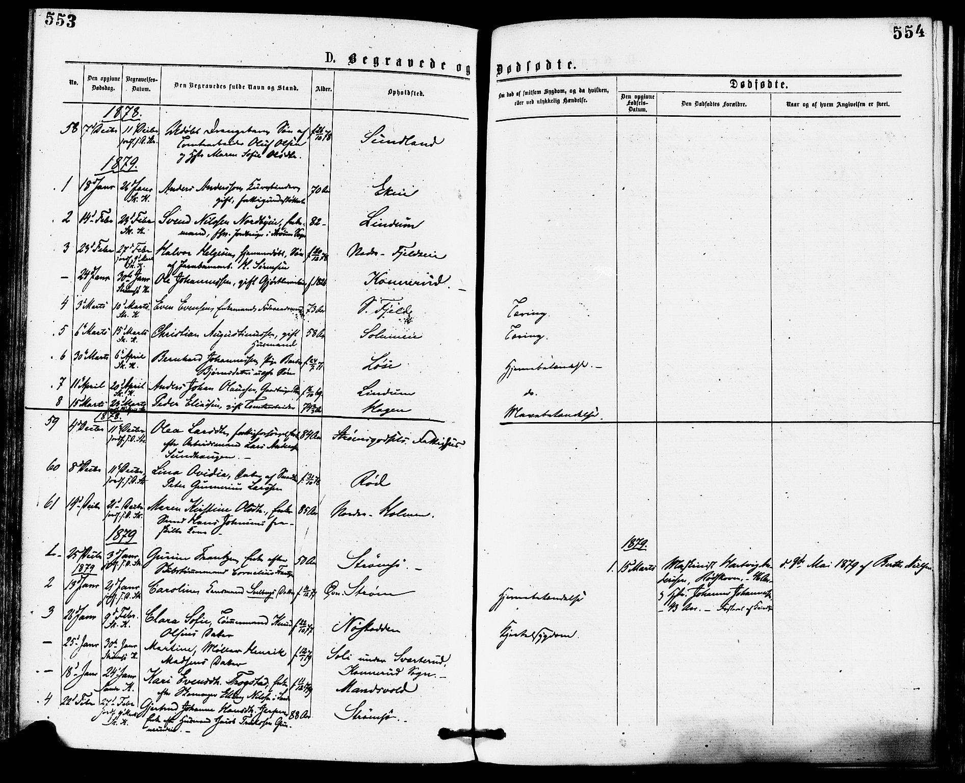 Skoger kirkebøker, AV/SAKO-A-59/F/Fa/L0005: Parish register (official) no. I 5, 1873-1884, p. 553-554