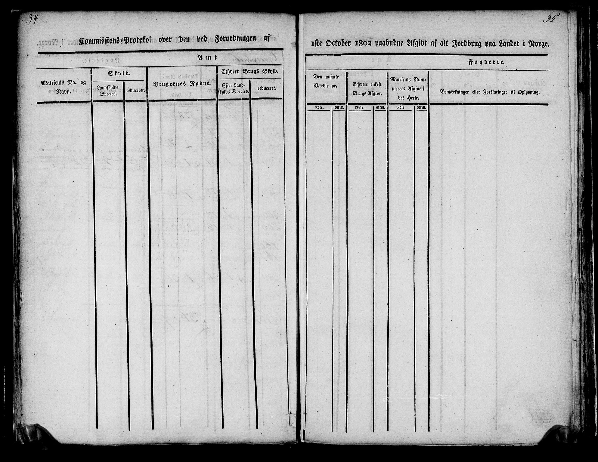 Rentekammeret inntil 1814, Realistisk ordnet avdeling, RA/EA-4070/N/Ne/Nea/L0178: Larvik grevskap. Kommisjonsprotokoll, 1803, p. 20