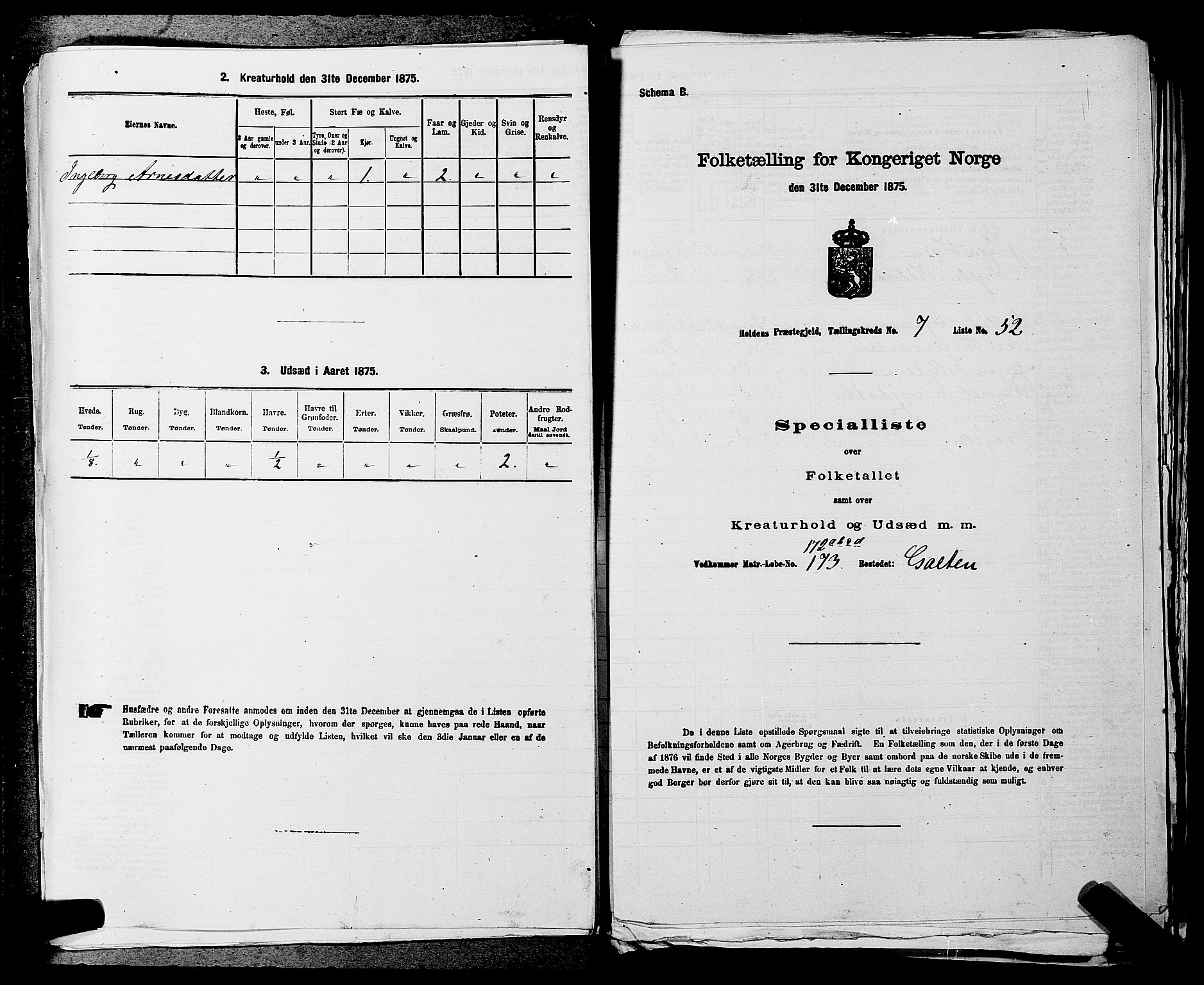 SAKO, 1875 census for 0819P Holla, 1875, p. 954