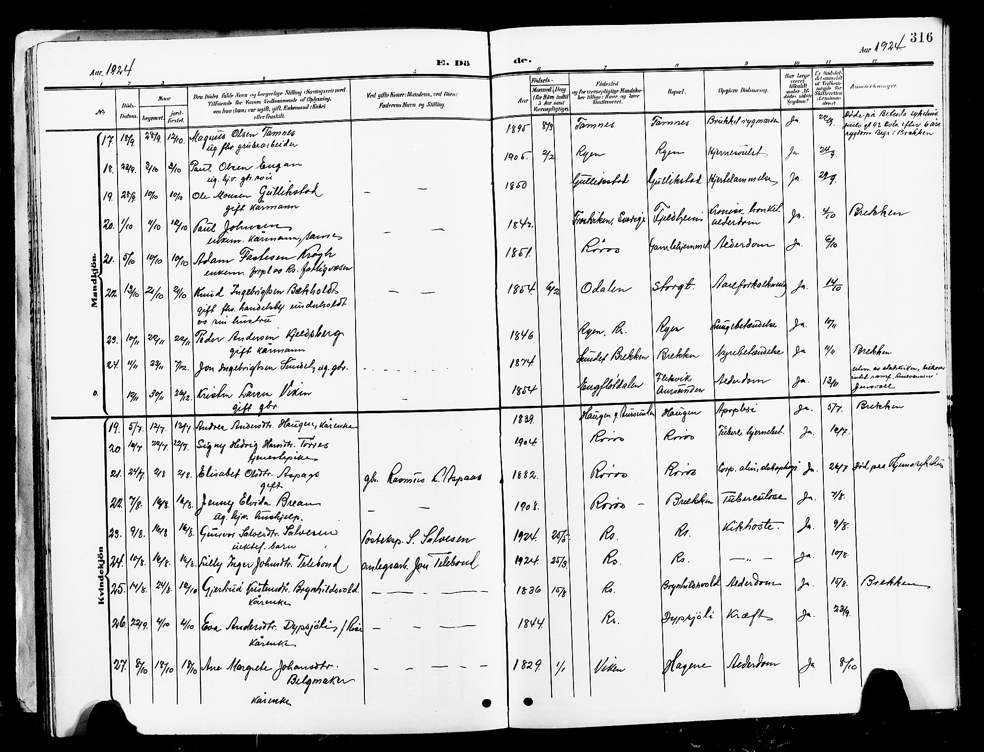 Ministerialprotokoller, klokkerbøker og fødselsregistre - Sør-Trøndelag, SAT/A-1456/681/L0942: Parish register (copy) no. 681C06, 1906-1925, p. 316