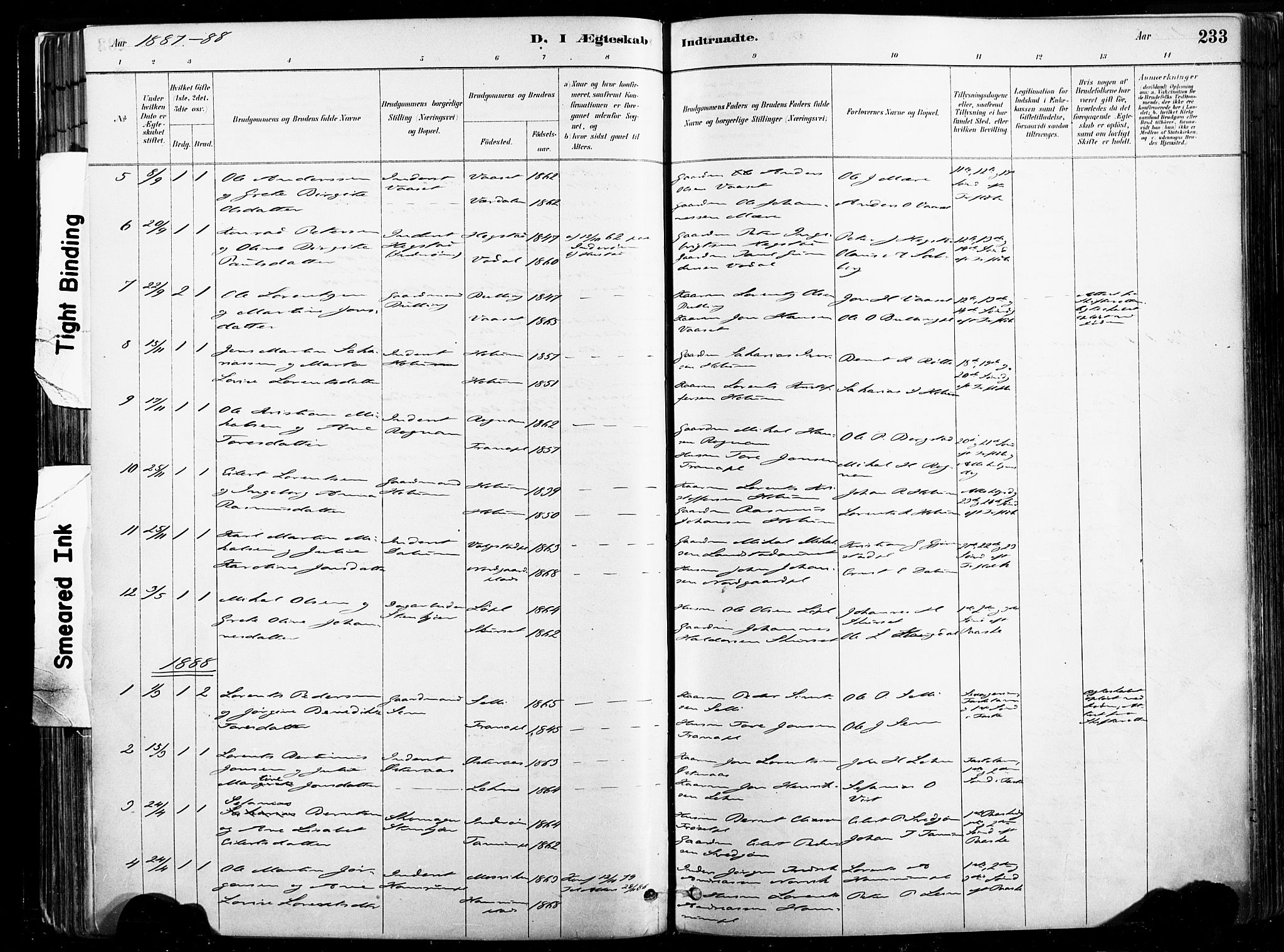 Ministerialprotokoller, klokkerbøker og fødselsregistre - Nord-Trøndelag, SAT/A-1458/735/L0351: Parish register (official) no. 735A10, 1884-1908, p. 233