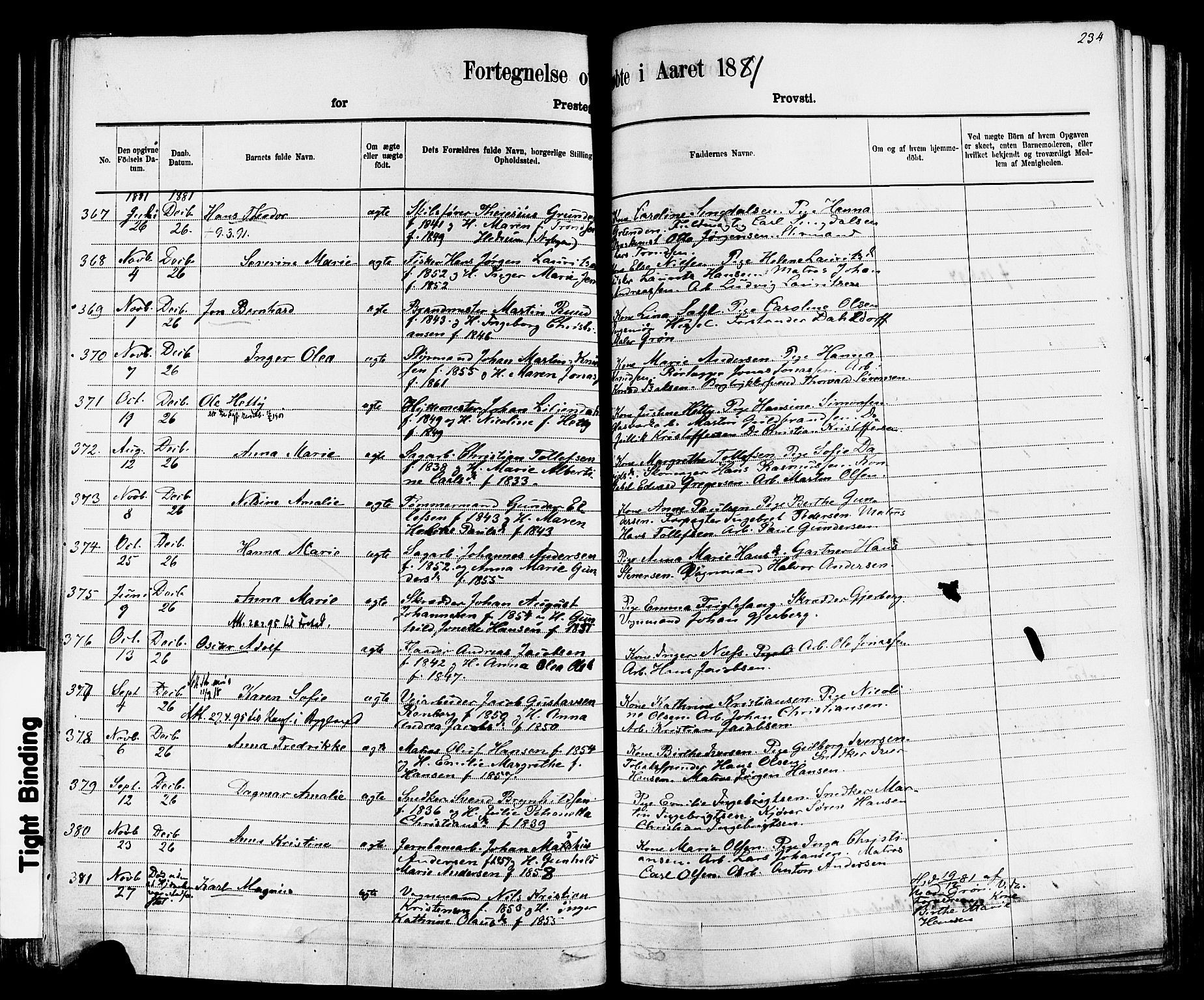 Larvik kirkebøker, AV/SAKO-A-352/F/Fa/L0006: Parish register (official) no. I 6, 1871-1883, p. 234