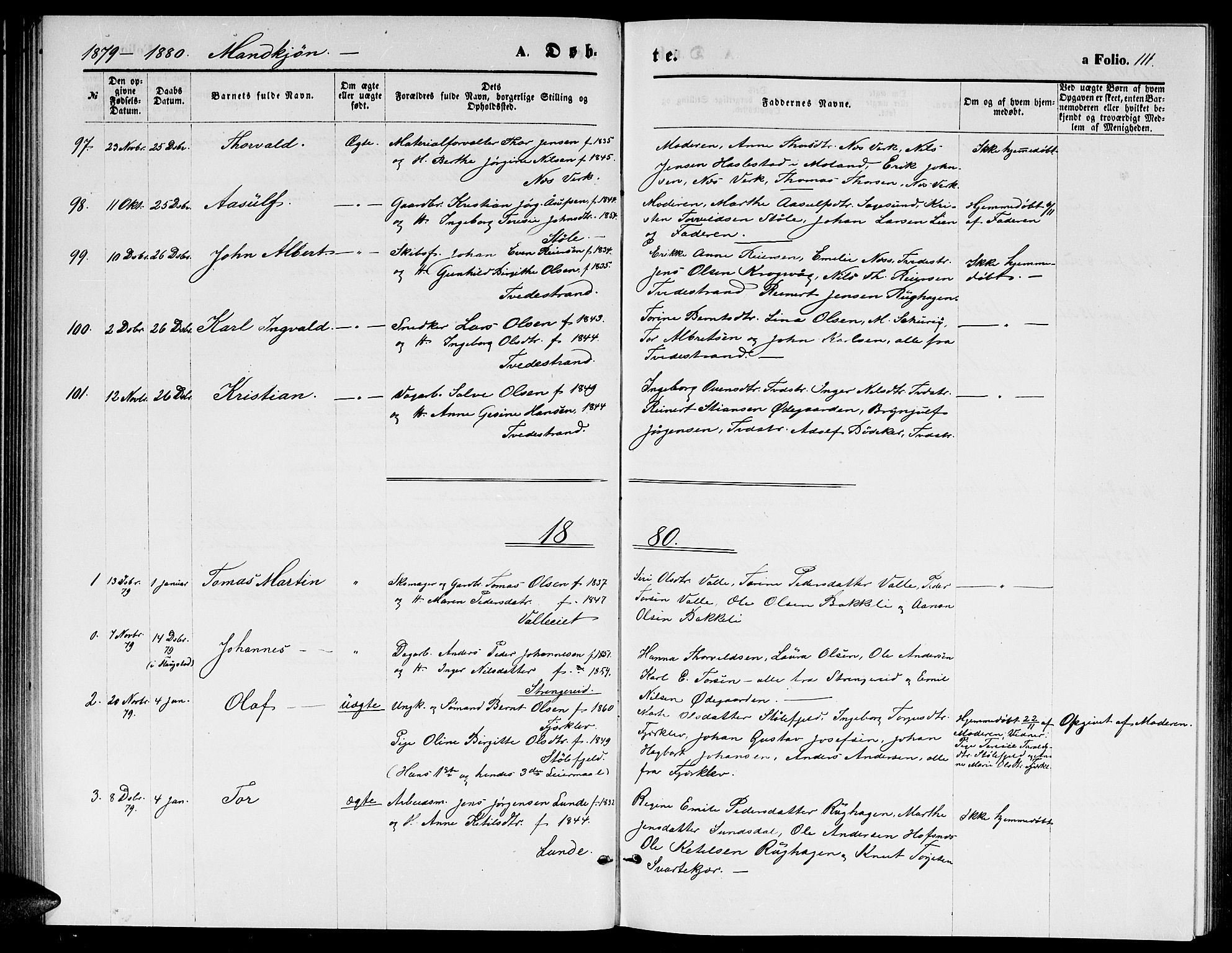 Holt sokneprestkontor, AV/SAK-1111-0021/F/Fb/L0009: Parish register (copy) no. B 9, 1871-1883, p. 111