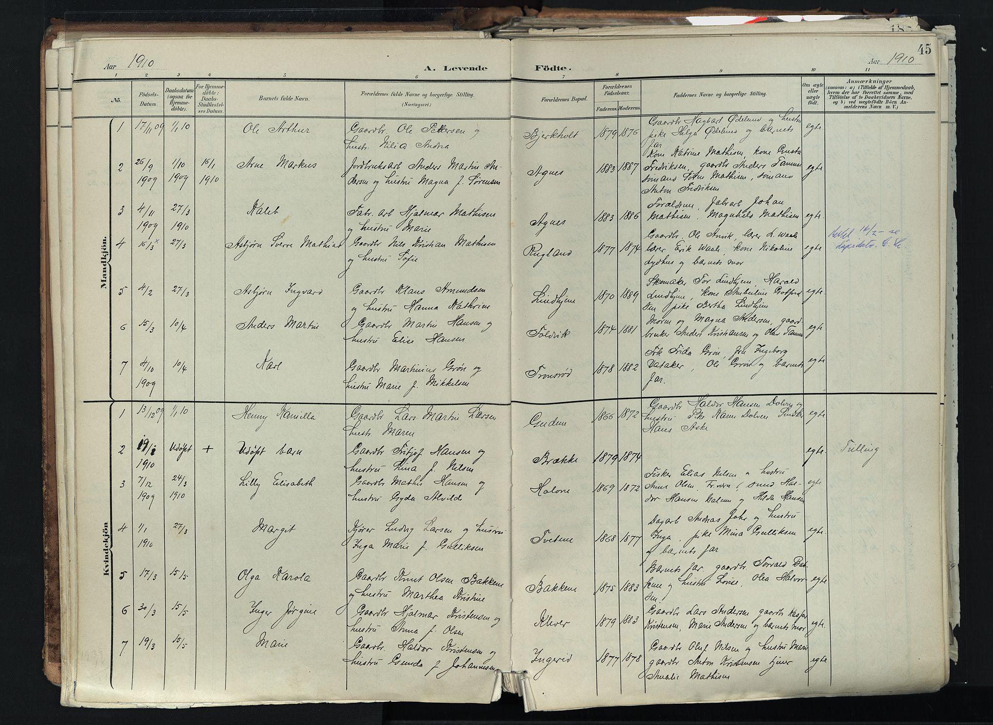 Brunlanes kirkebøker, SAKO/A-342/F/Fc/L0003: Parish register (official) no. III 3, 1900-1922, p. 45