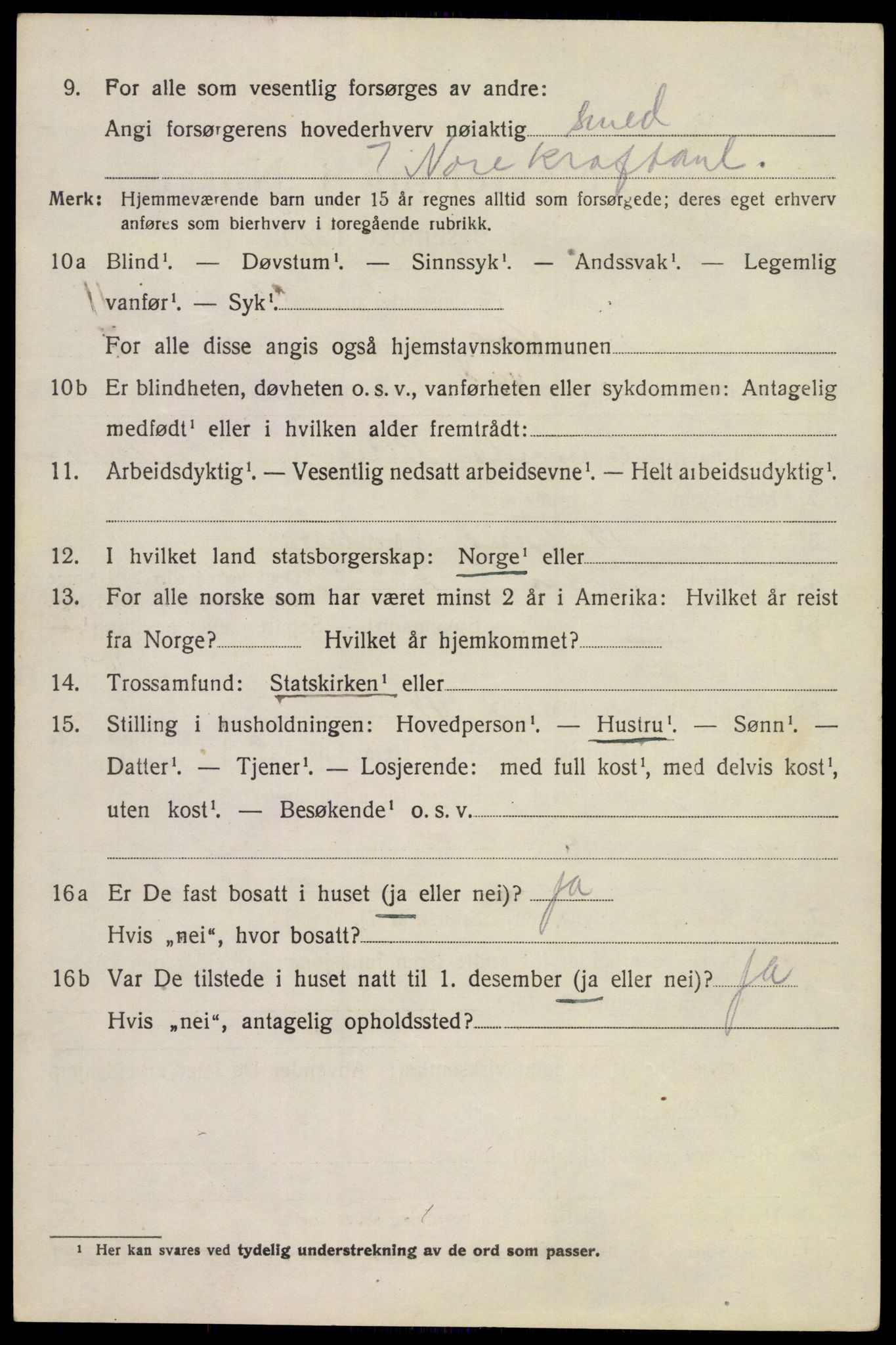 SAKO, 1920 census for Nore, 1920, p. 3981