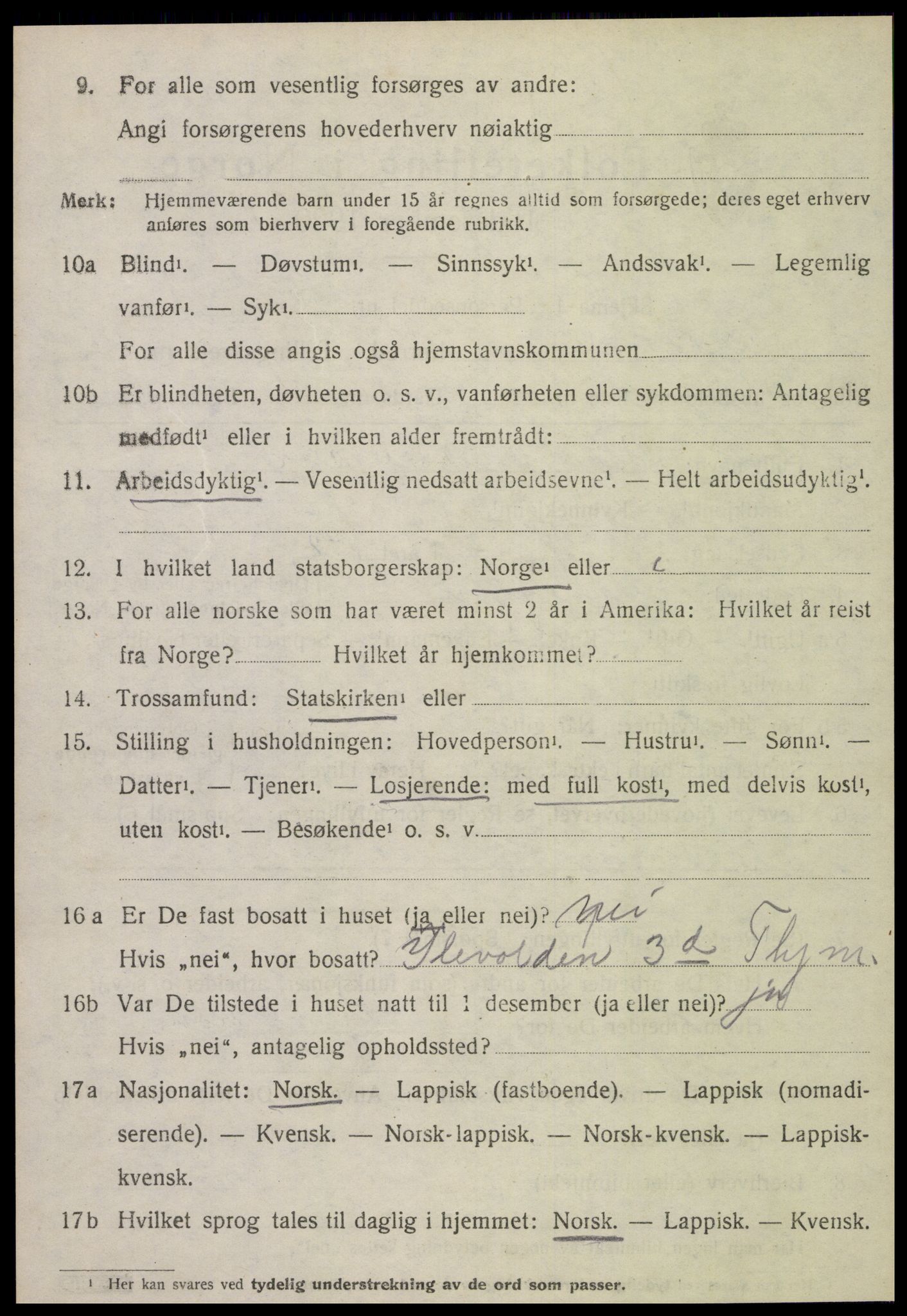 SAT, 1920 census for Stjørdal, 1920, p. 1371