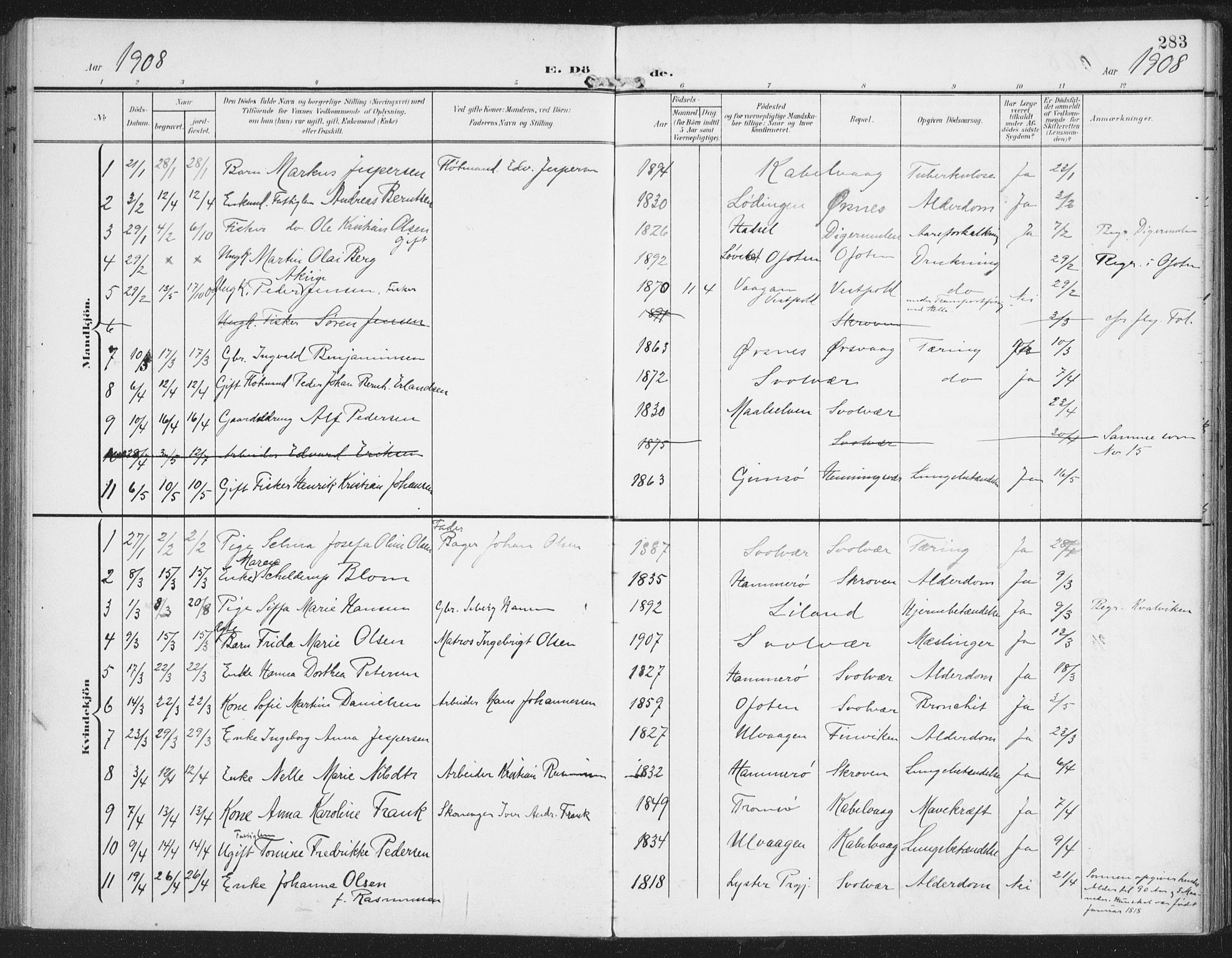 Ministerialprotokoller, klokkerbøker og fødselsregistre - Nordland, AV/SAT-A-1459/874/L1063: Parish register (official) no. 874A07, 1907-1915, p. 283