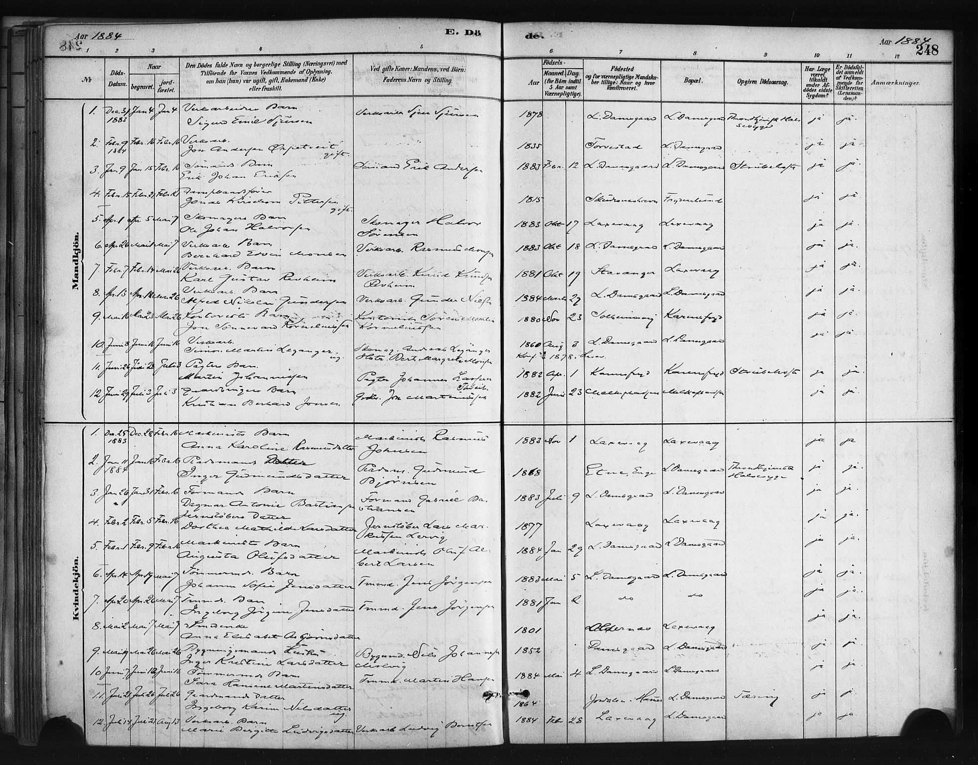 Askøy Sokneprestembete, SAB/A-74101/H/Ha/Haa/Haae/L0002: Parish register (official) no. E 2, 1878-1891, p. 248