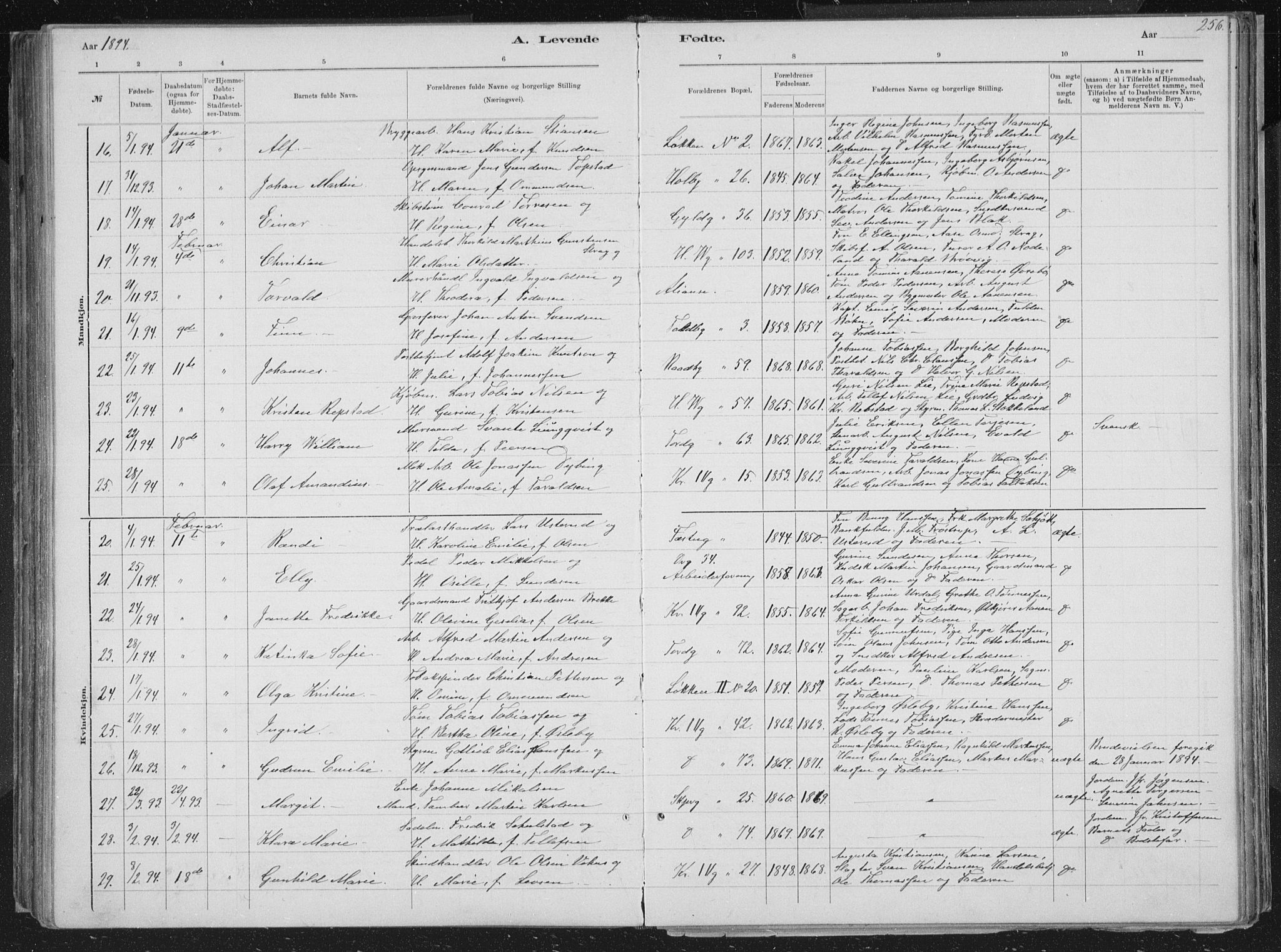 Kristiansand domprosti, SAK/1112-0006/F/Fb/L0014: Parish register (copy) no. B 14, 1881-1896, p. 256