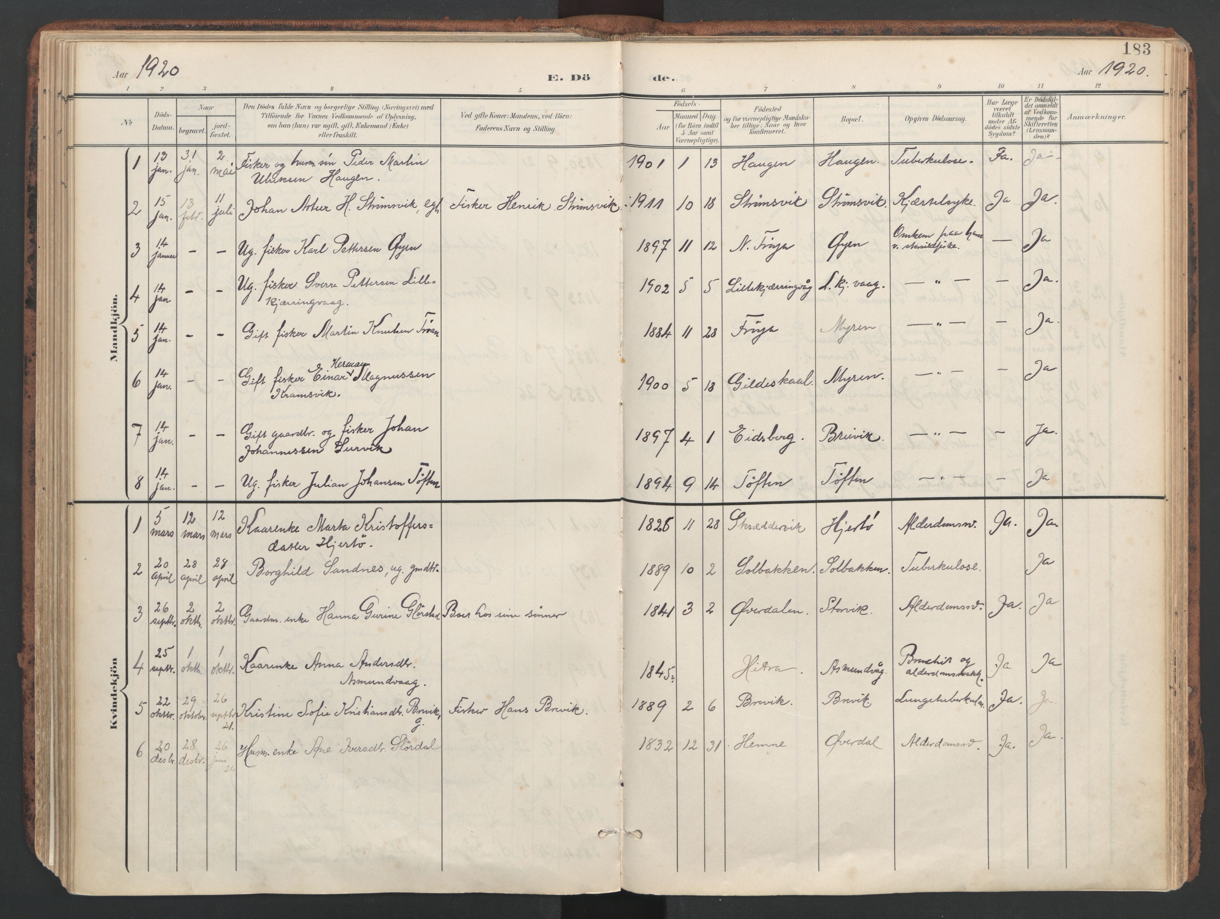 Ministerialprotokoller, klokkerbøker og fødselsregistre - Sør-Trøndelag, SAT/A-1456/634/L0537: Parish register (official) no. 634A13, 1896-1922, p. 183