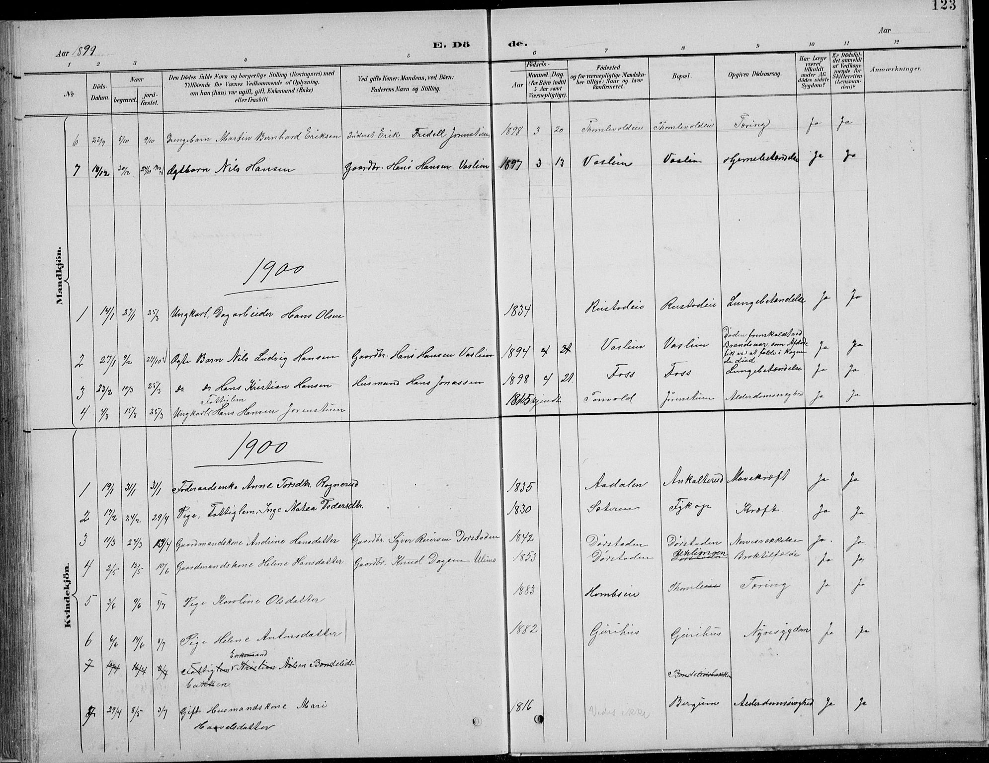 Nordre Land prestekontor, SAH/PREST-124/H/Ha/Hab/L0013: Parish register (copy) no. 13, 1891-1904, p. 123