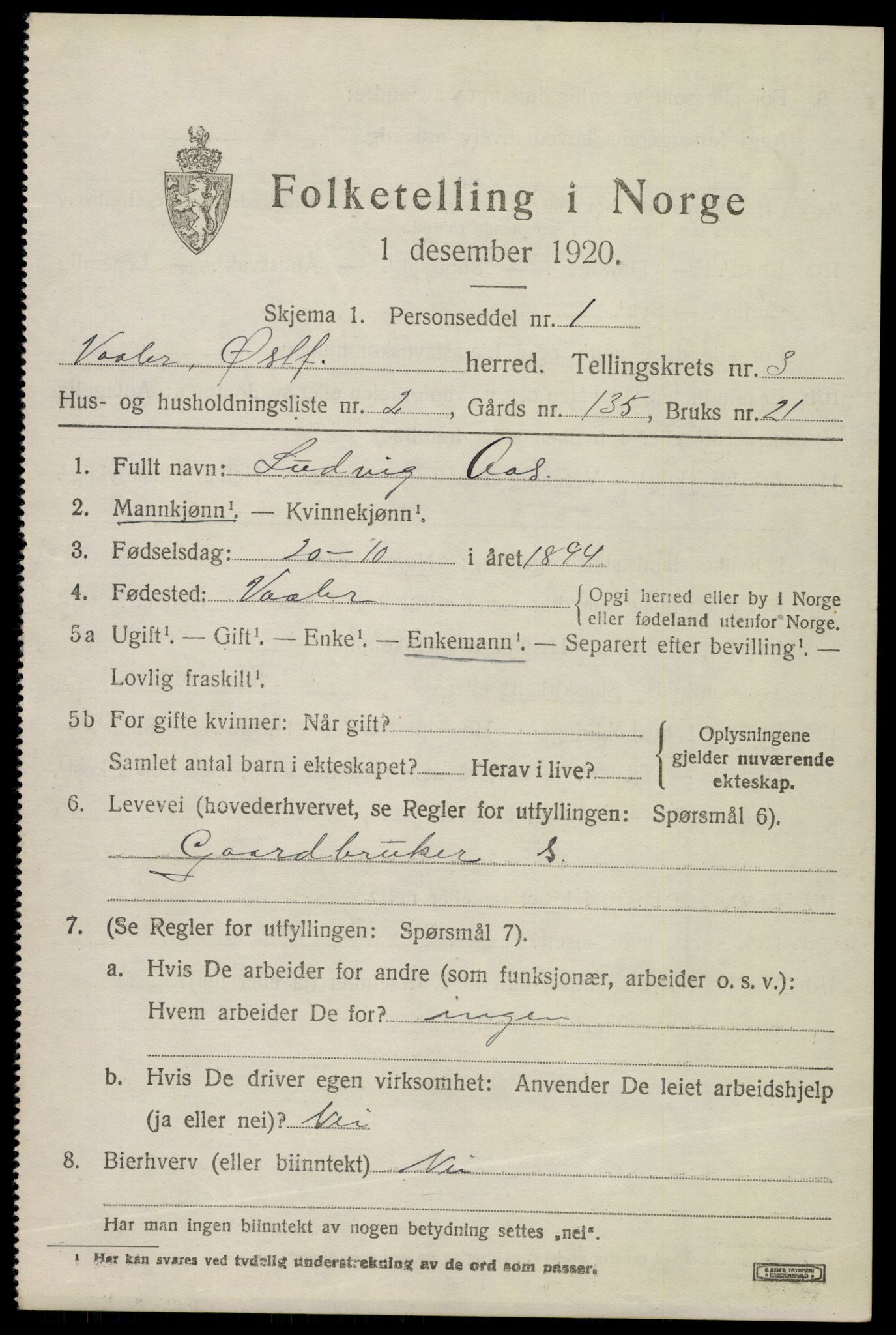 SAO, 1920 census for Våler, 1920, p. 2056