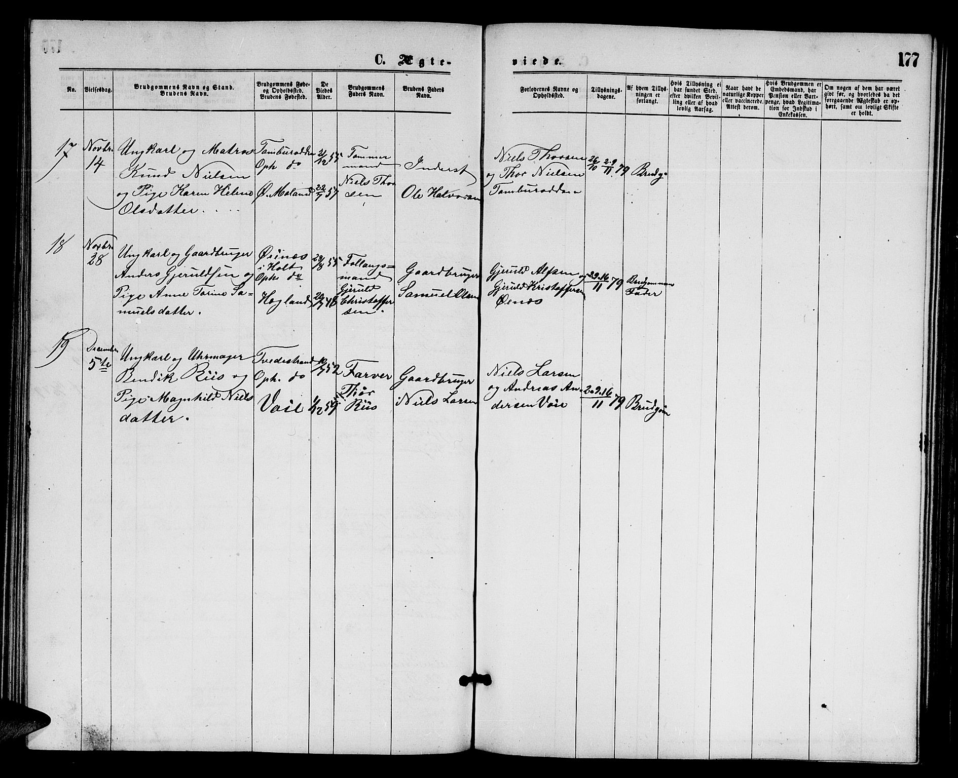 Austre Moland sokneprestkontor, AV/SAK-1111-0001/F/Fb/Fba/L0002: Parish register (copy) no. B 2, 1869-1879, p. 177