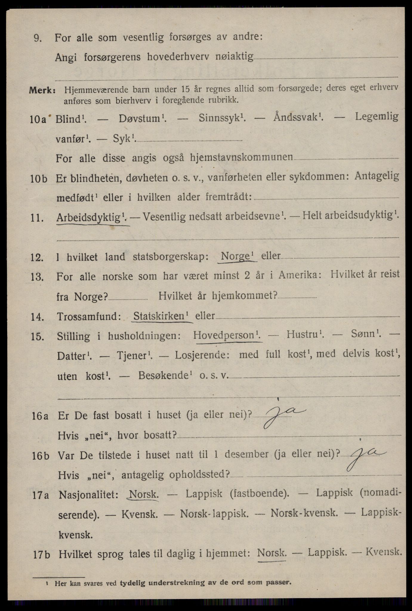 SAT, 1920 census for Selbu, 1920, p. 6497