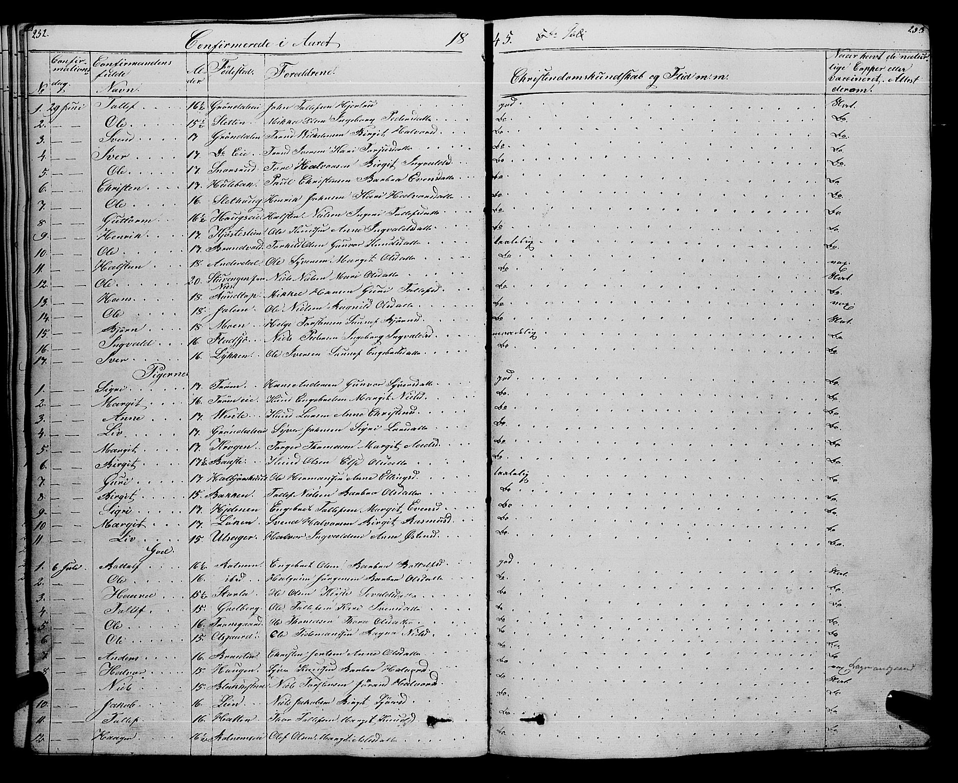 Gol kirkebøker, AV/SAKO-A-226/F/Fa/L0002: Parish register (official) no. I 2, 1837-1863, p. 252-253