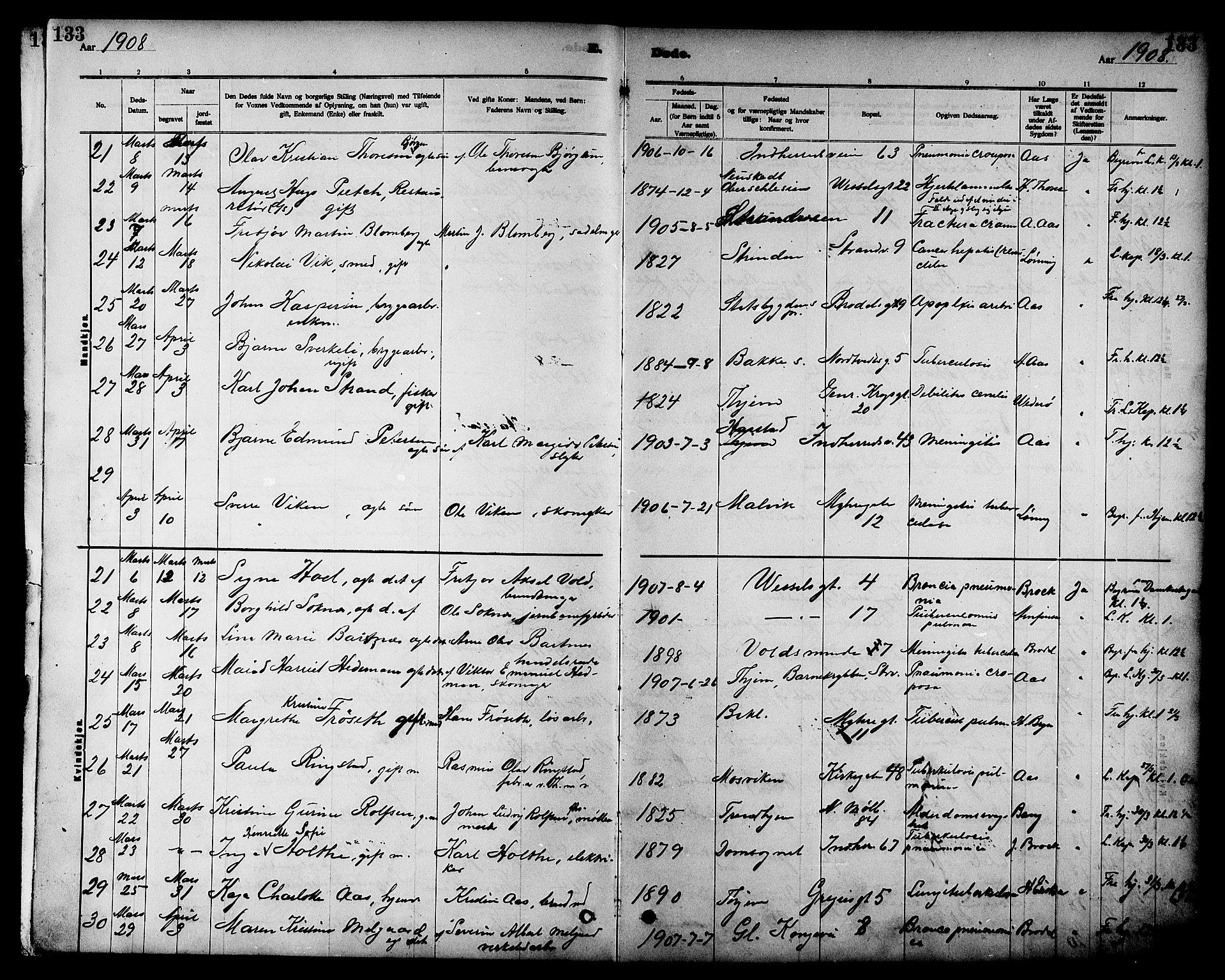 Ministerialprotokoller, klokkerbøker og fødselsregistre - Sør-Trøndelag, SAT/A-1456/605/L0255: Parish register (copy) no. 605C02, 1908-1918, p. 133