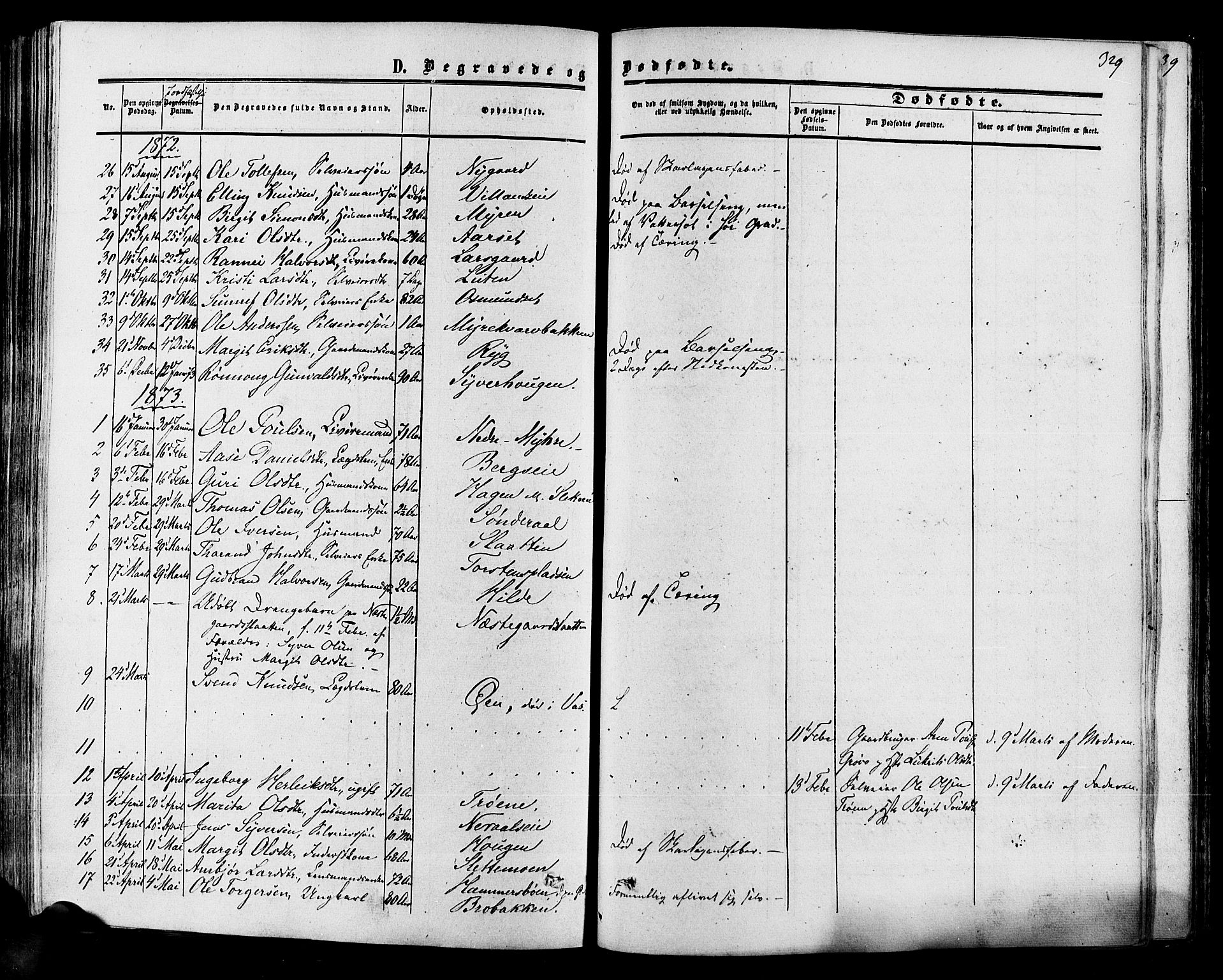 Hol kirkebøker, SAKO/A-227/F/Fa/L0002: Parish register (official) no. I 2, 1870-1886, p. 329