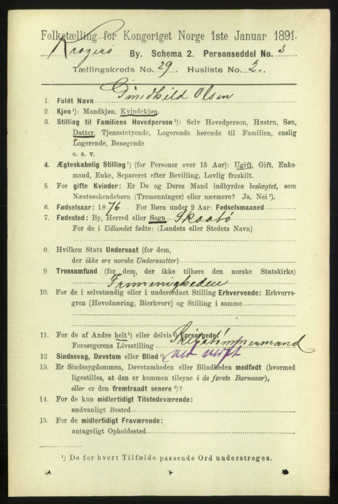 RA, 1891 census for 0801 Kragerø, 1891, p. 5488