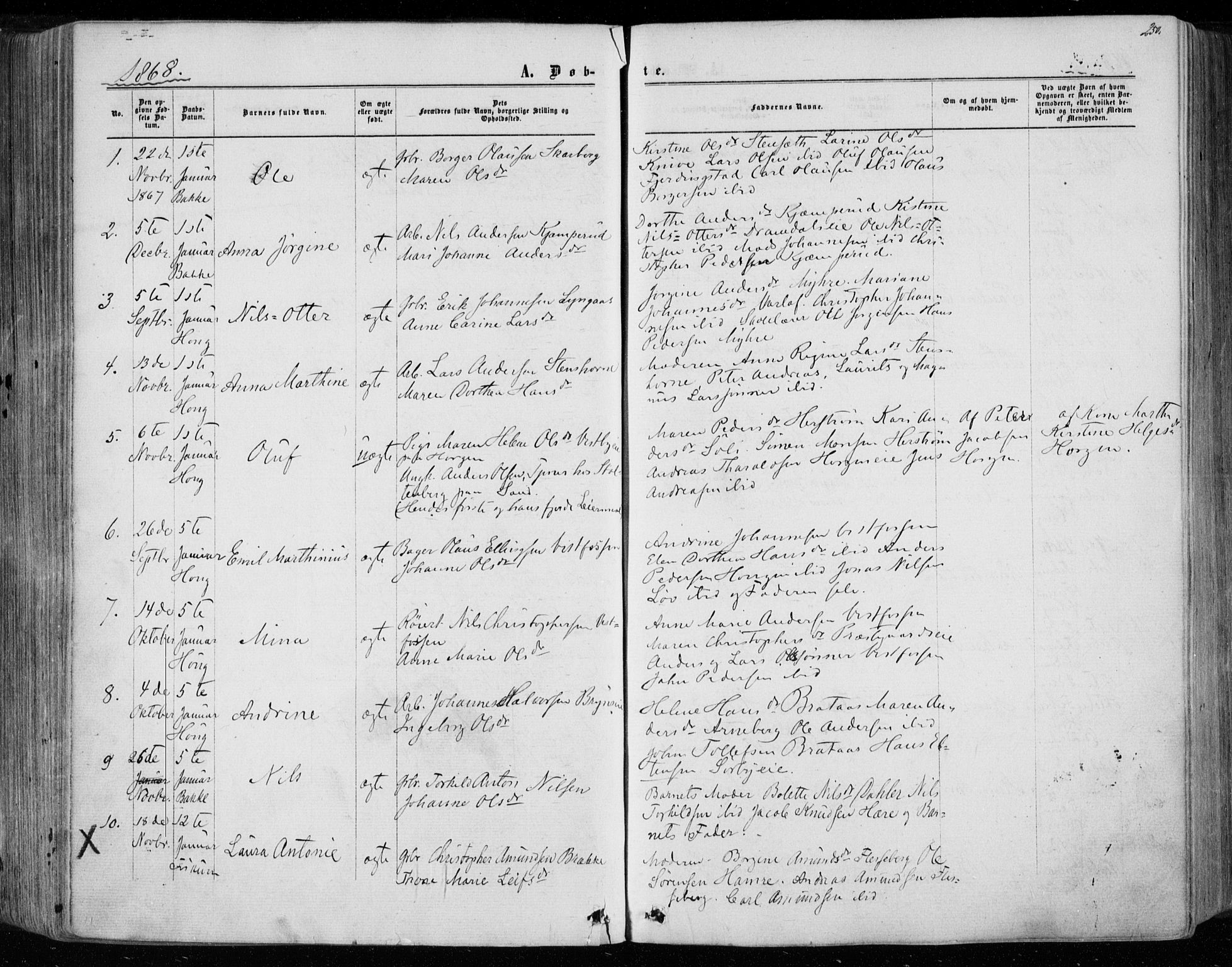 Eiker kirkebøker, SAKO/A-4/F/Fa/L0016: Parish register (official) no. I 16, 1860-1868, p. 250
