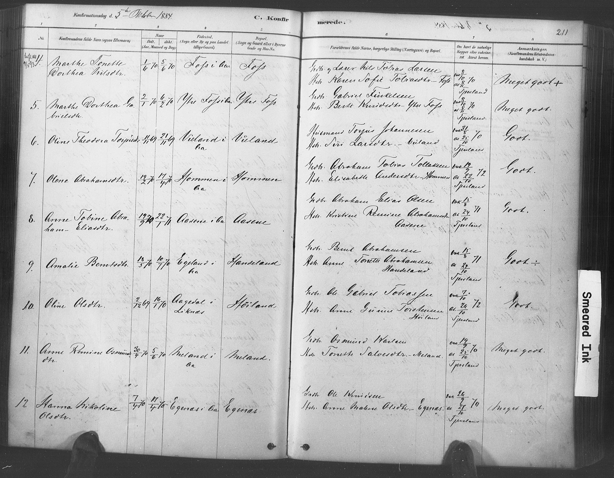 Lyngdal sokneprestkontor, AV/SAK-1111-0029/F/Fa/Fac/L0011: Parish register (official) no. A 11, 1878-1893, p. 211