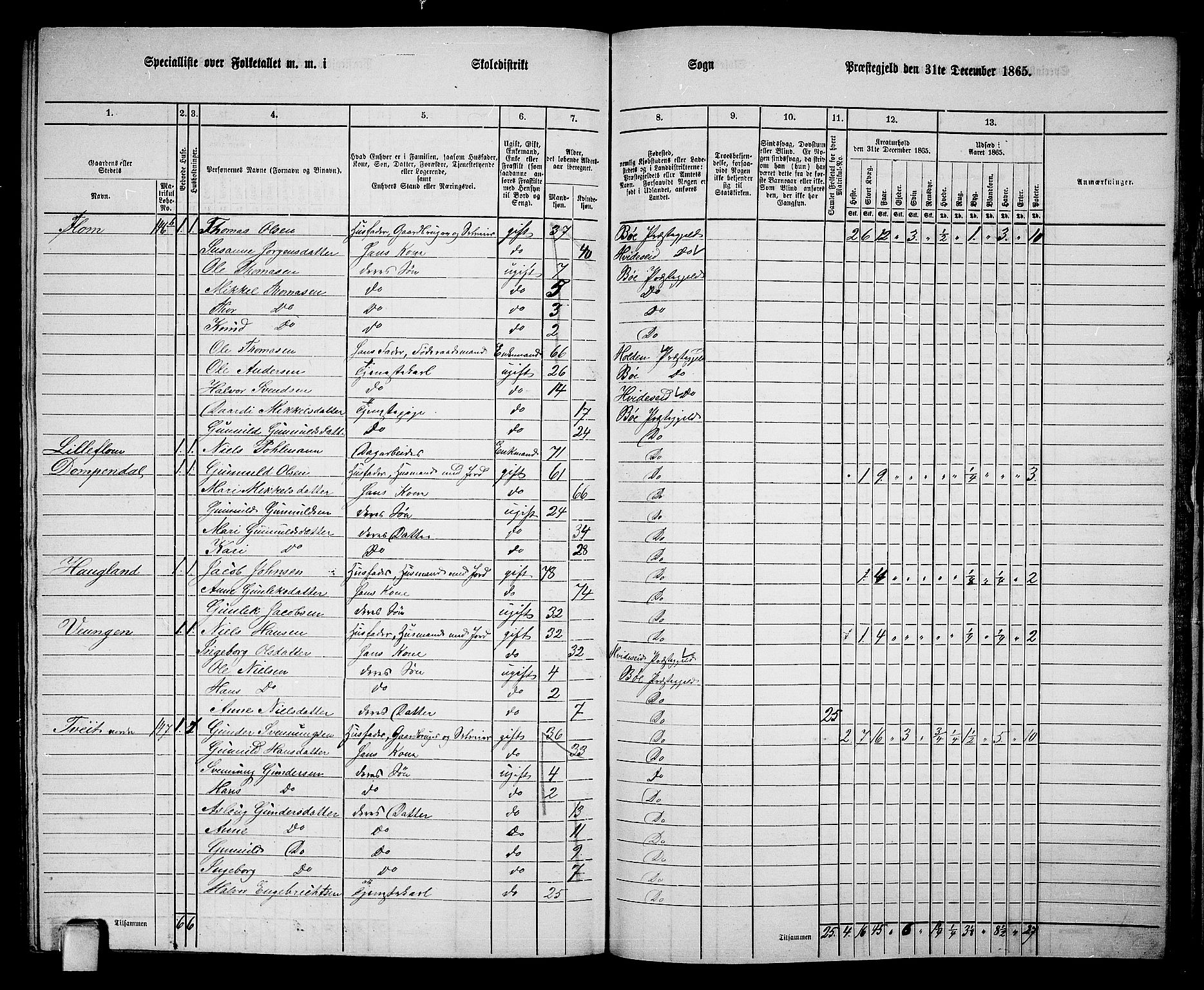 RA, 1865 census for Bø, 1865, p. 202