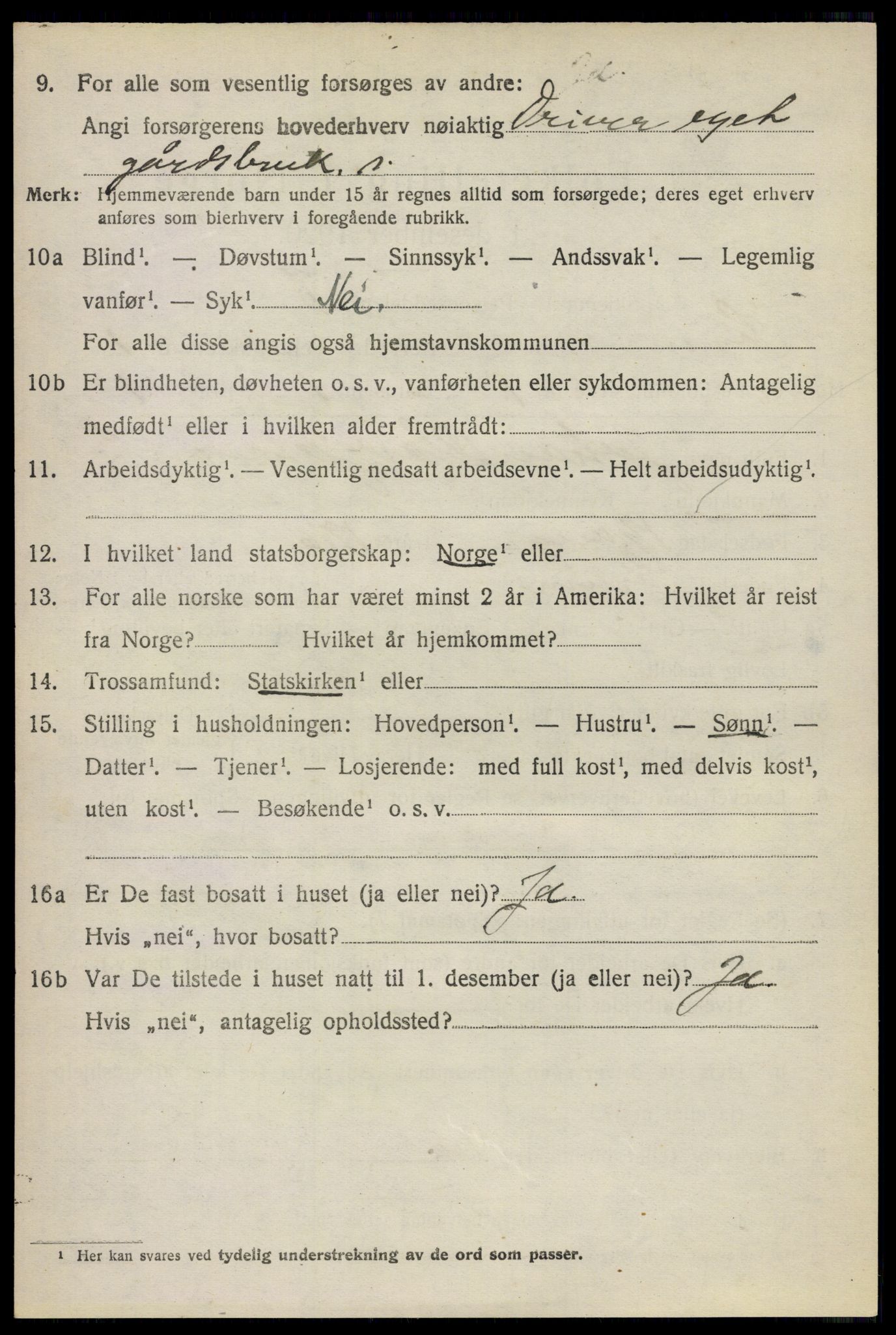 SAO, 1920 census for Sørum, 1920, p. 1138