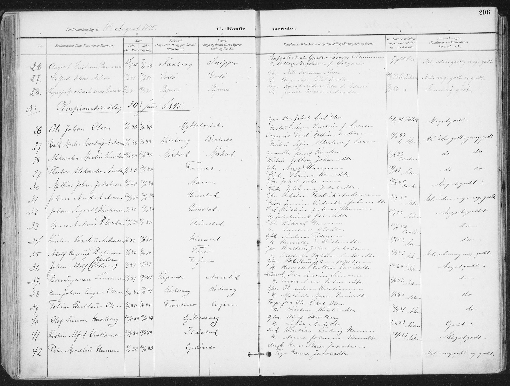 Ministerialprotokoller, klokkerbøker og fødselsregistre - Nordland, AV/SAT-A-1459/802/L0055: Parish register (official) no. 802A02, 1894-1915, p. 206