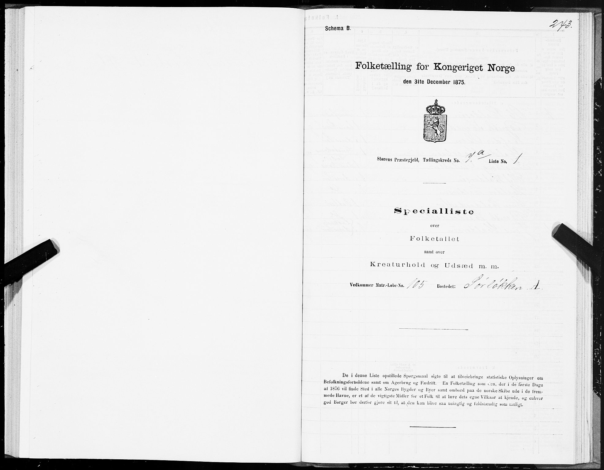 SAT, 1875 census for 1648P Støren, 1875, p. 3243