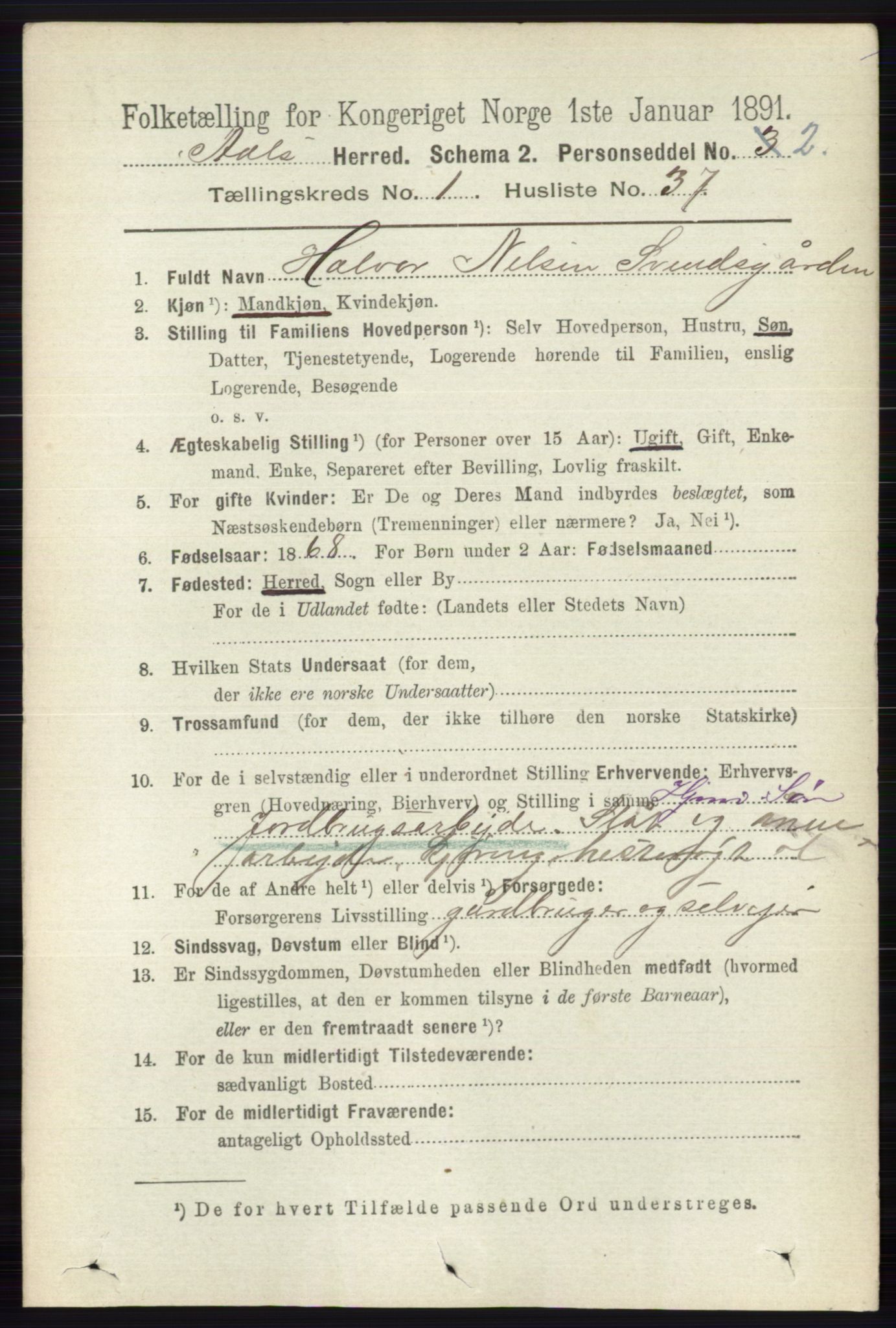 RA, 1891 census for 0619 Ål, 1891, p. 255