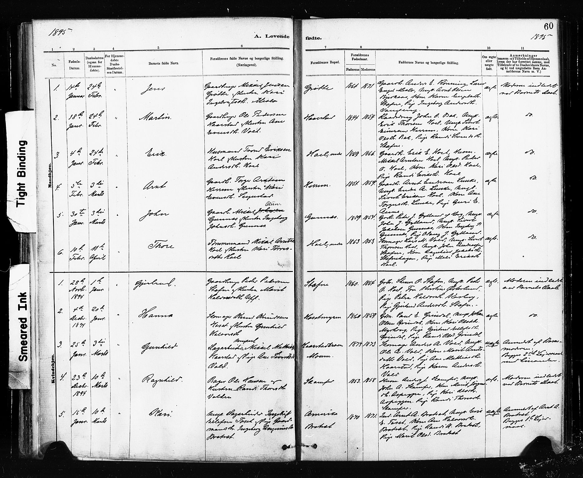 Ministerialprotokoller, klokkerbøker og fødselsregistre - Sør-Trøndelag, SAT/A-1456/674/L0871: Parish register (official) no. 674A03, 1880-1896, p. 60